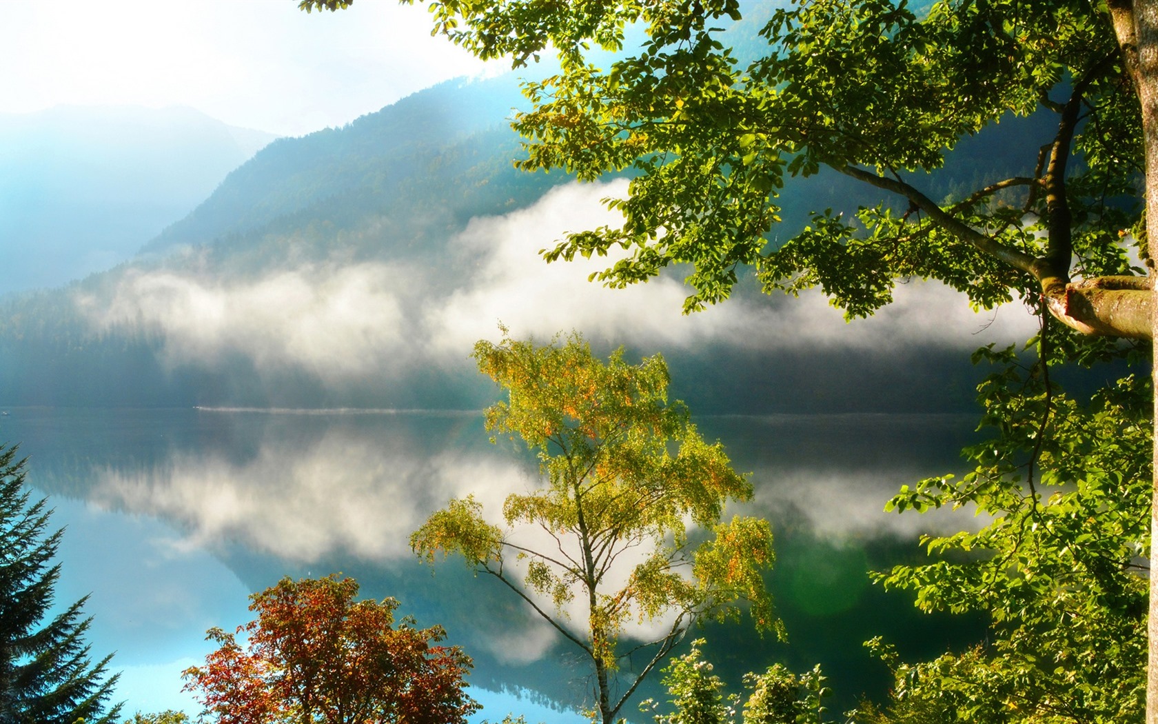 나무, 산, 물, 일출과 일몰, 자연 풍경의 HD 배경 화면 #40 - 1680x1050