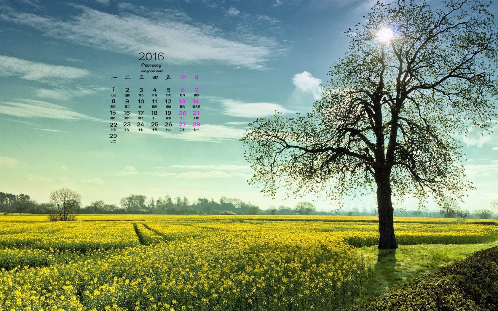 Februar 2016 Kalender Wallpaper (1) #5 - 1680x1050