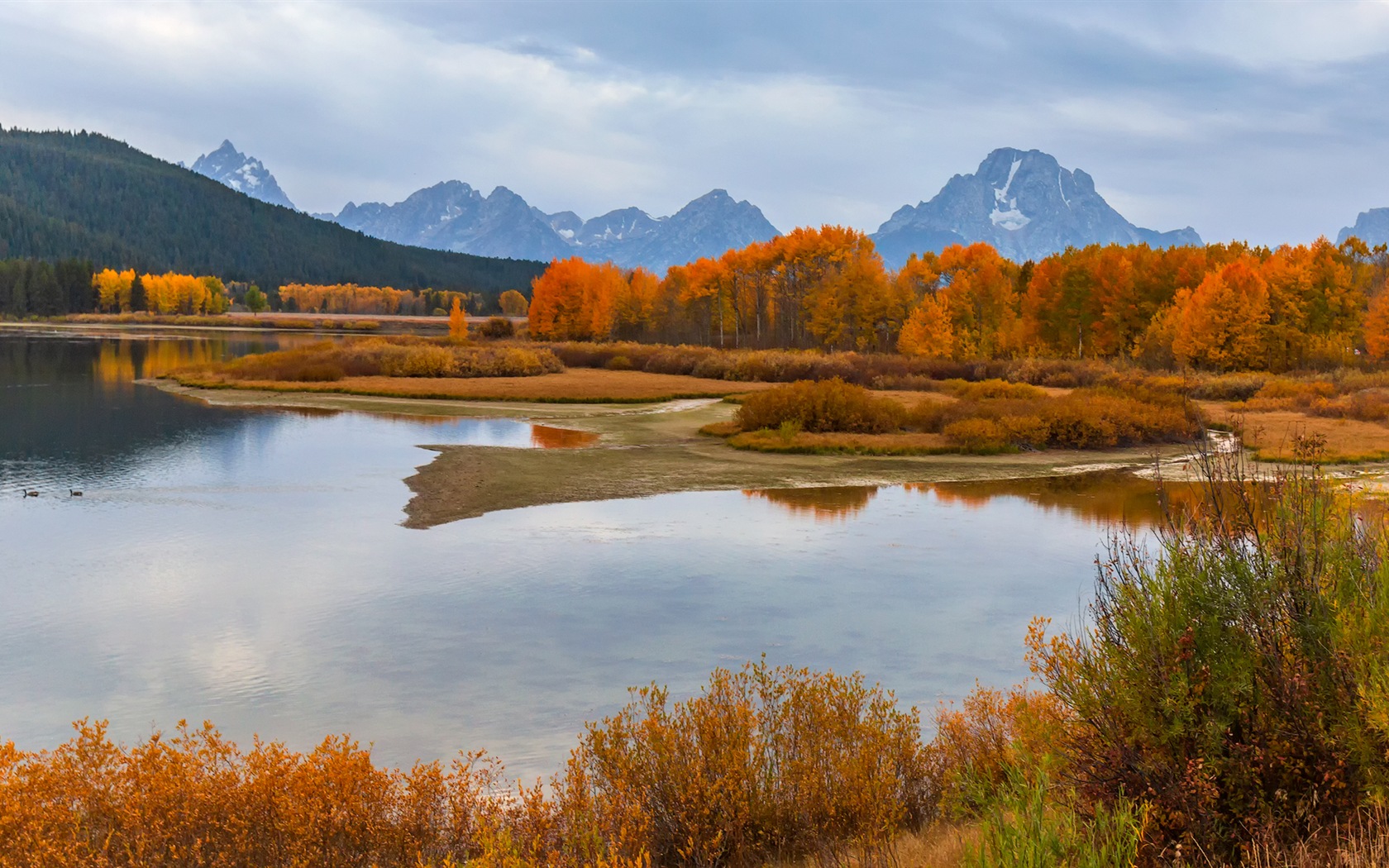 미국 그랜드 Teton 국립 공원 자연 풍경의 HD 월페이퍼 #11 - 1680x1050