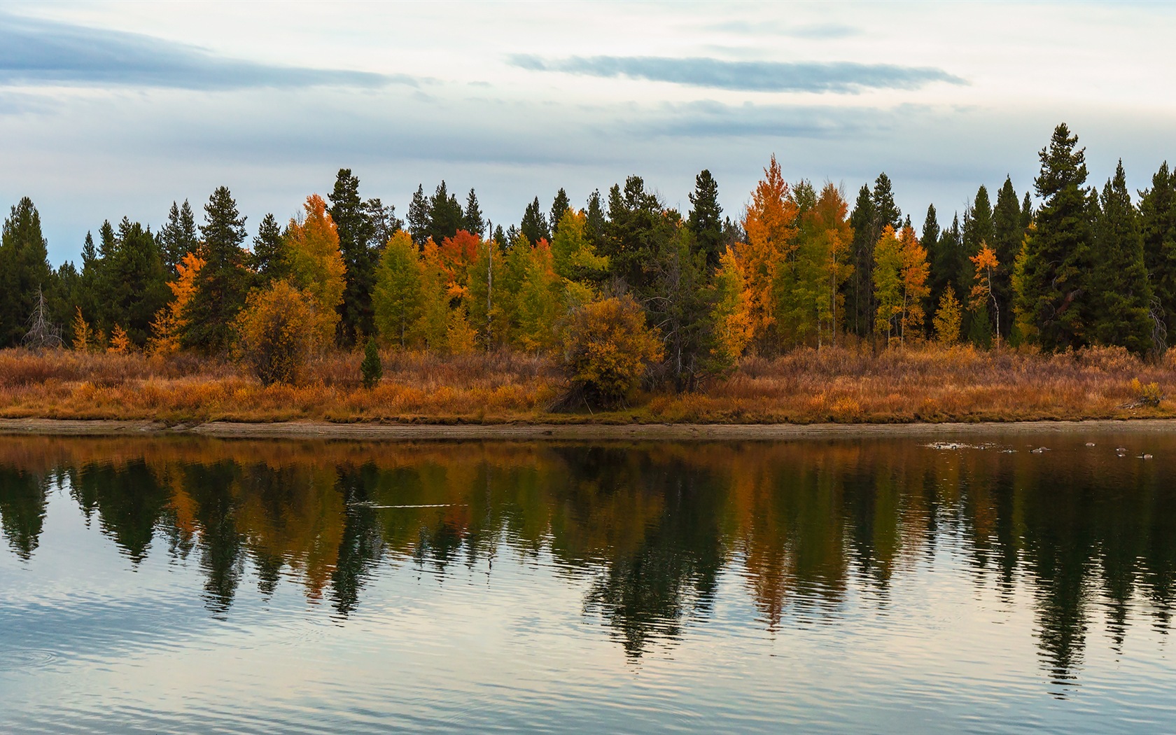 미국 그랜드 Teton 국립 공원 자연 풍경의 HD 월페이퍼 #18 - 1680x1050