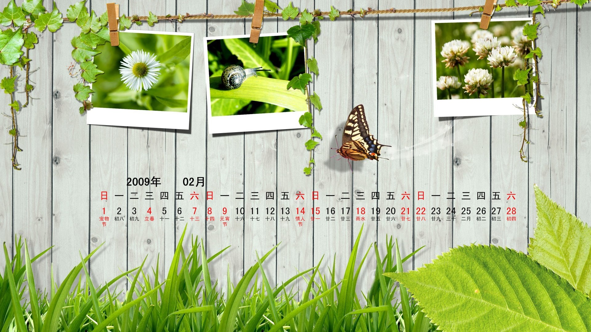 Paperart 09 Jahre im Februar Kalender Wallpaper #10 - 1920x1080