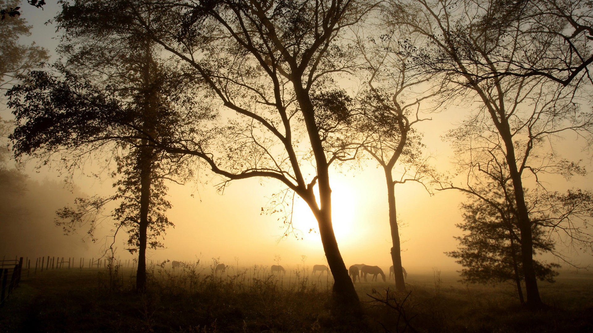 Wunderschöne Sonnenauf-und Sonnenuntergang Wallpaper #25 - 1920x1080