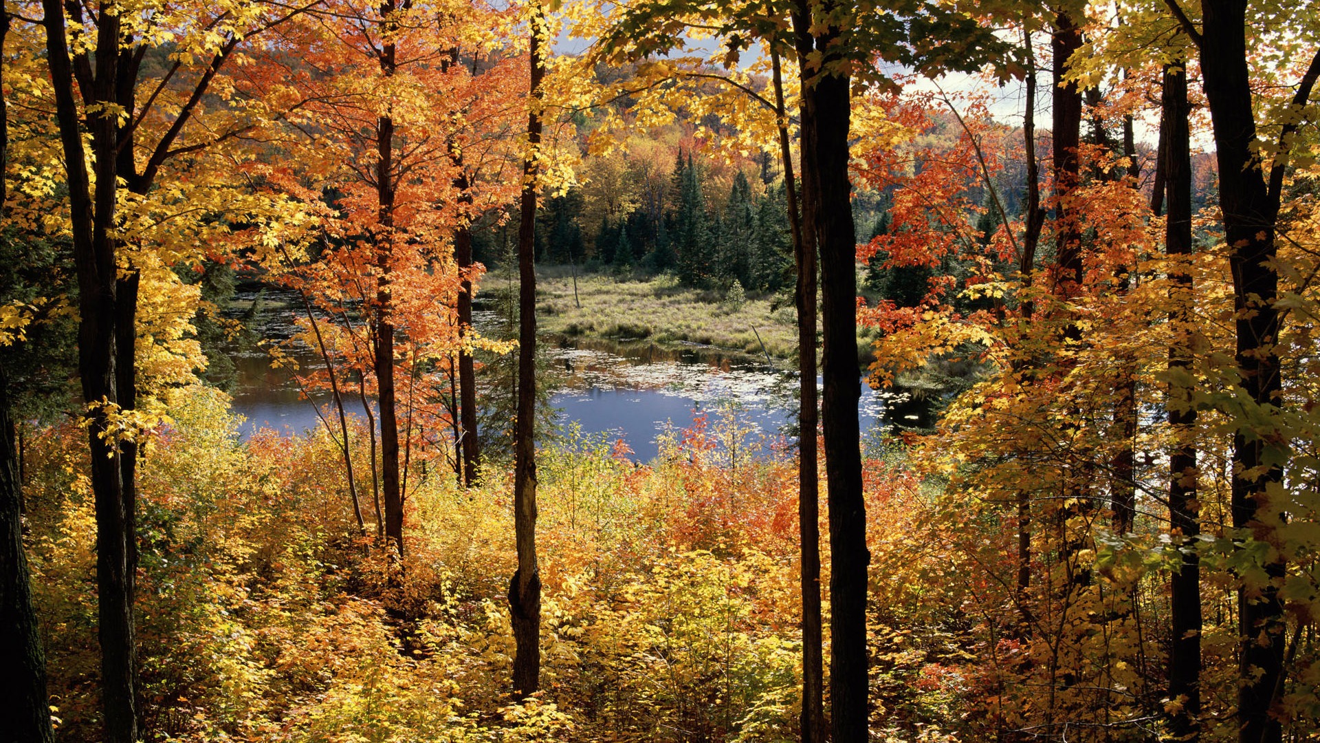 Wallpaper paisaje canadiense HD (2) #15 - 1920x1080