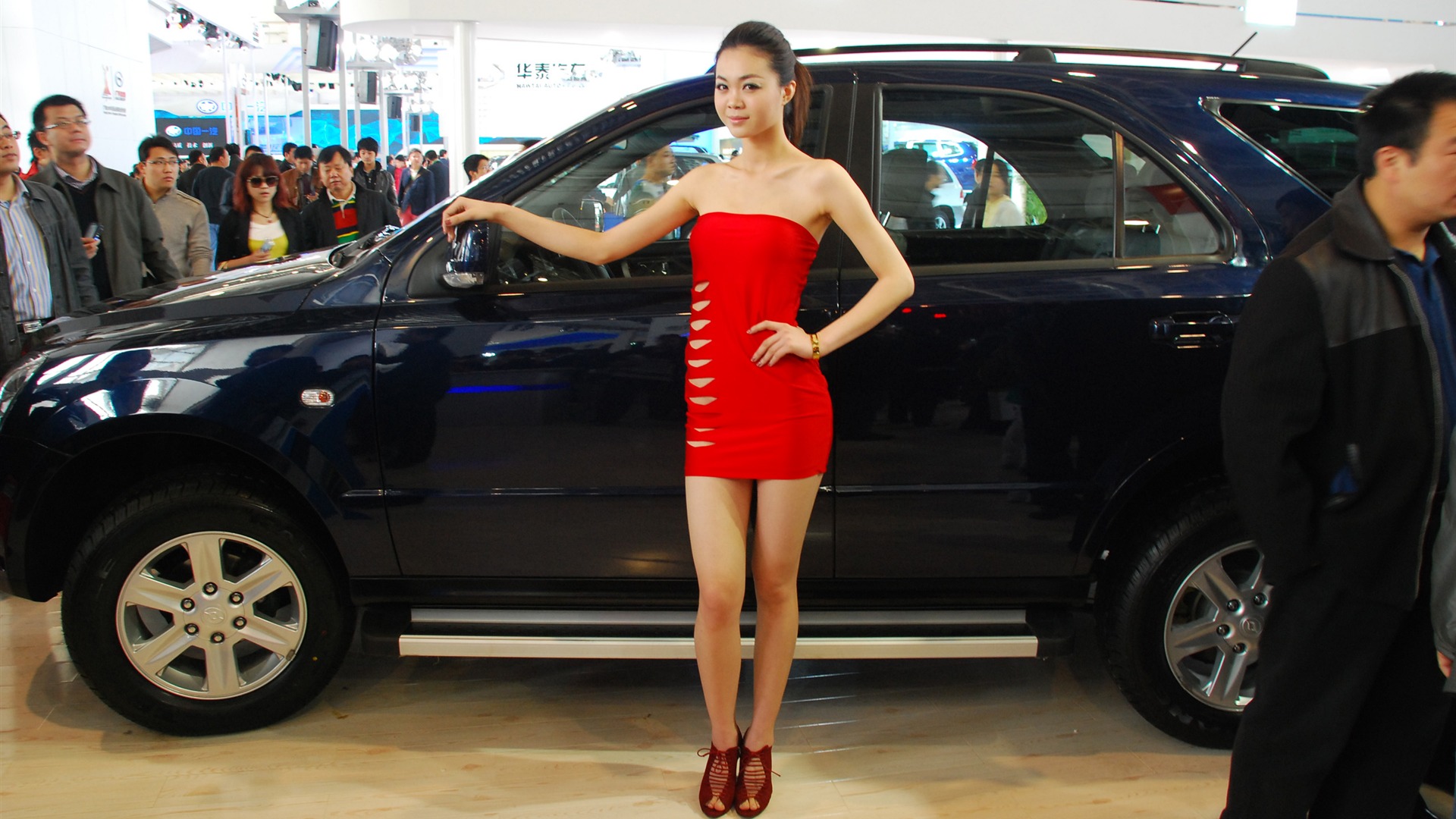 2010 Beijing International Auto Show (2) (z321x123 works) #14 - 1920x1080
