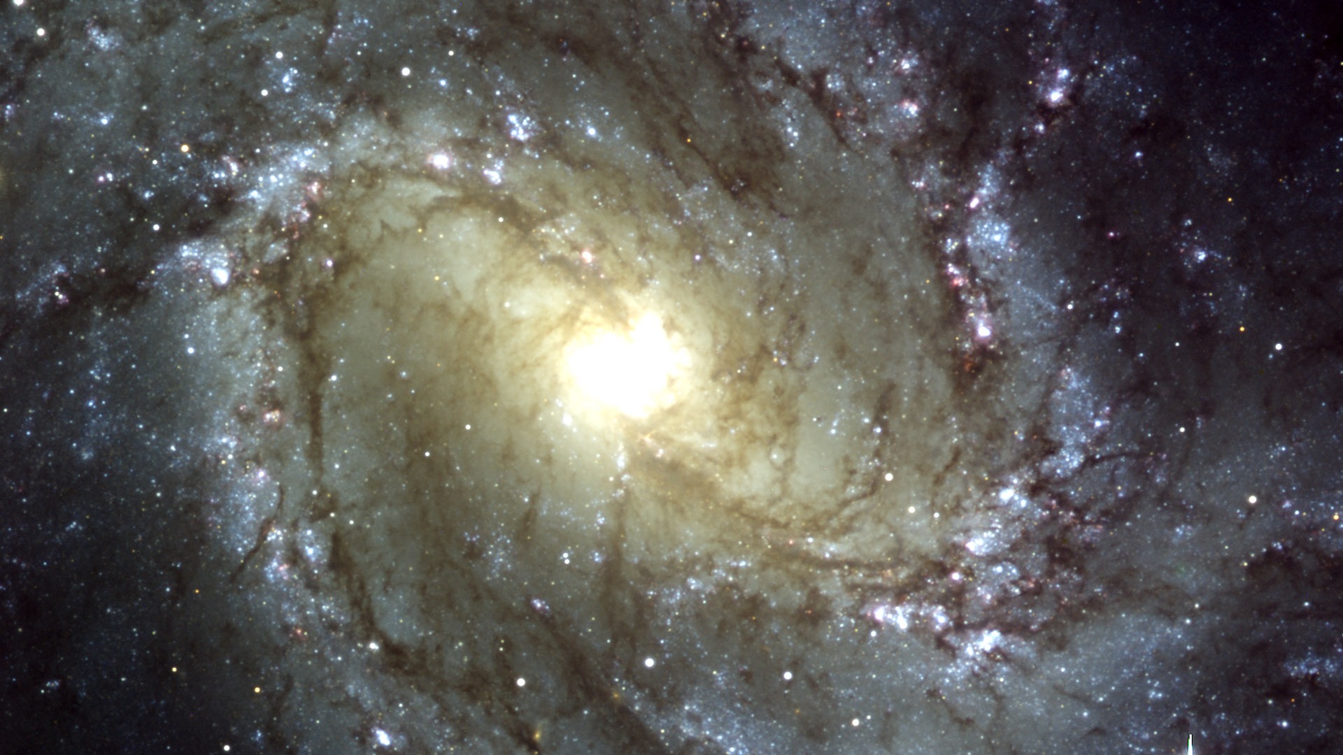 Hubble Star Wallpaper (5) #10 - 1920x1080