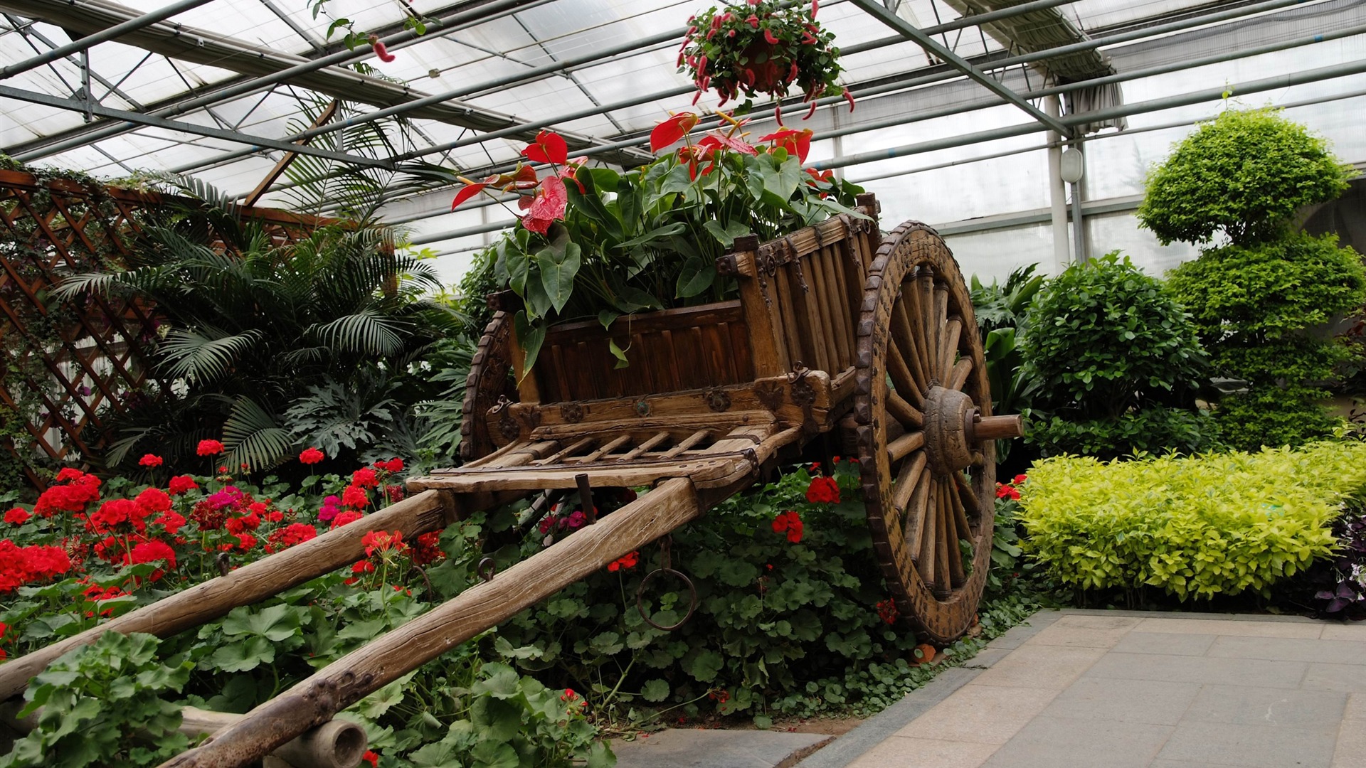 Beijing Grand View Garden Flowers with film (rebar works) #10 - 1920x1080