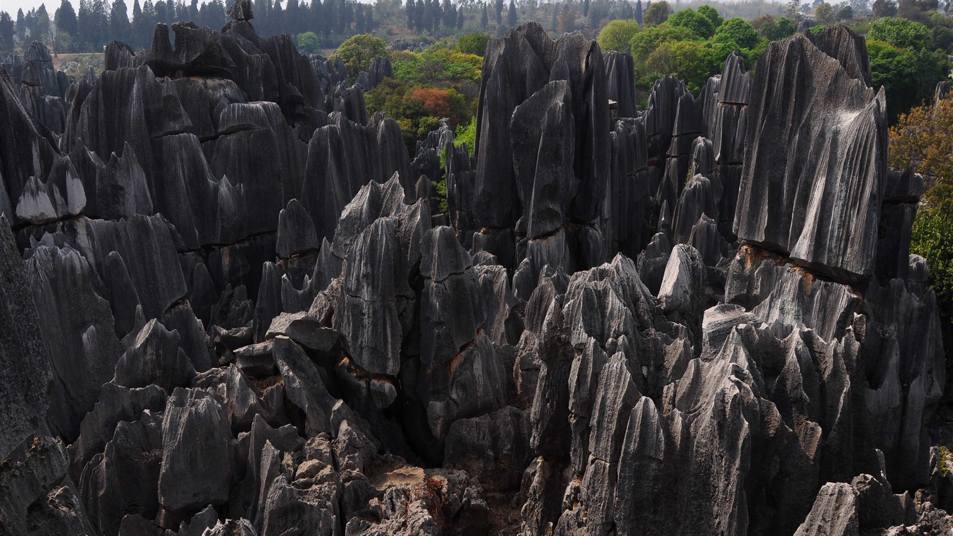 Bosque de Piedras de Yunnan en línea (1) (obras Khitan lobo) #16 - 1920x1080