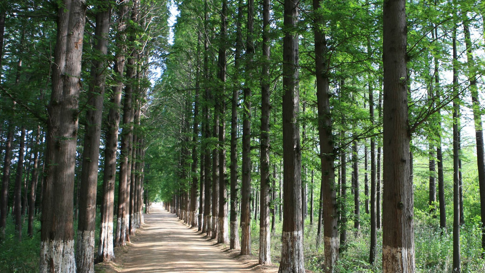 Fotografía de paisaje (3) (Li trabaja Shanquan) #5 - 1920x1080