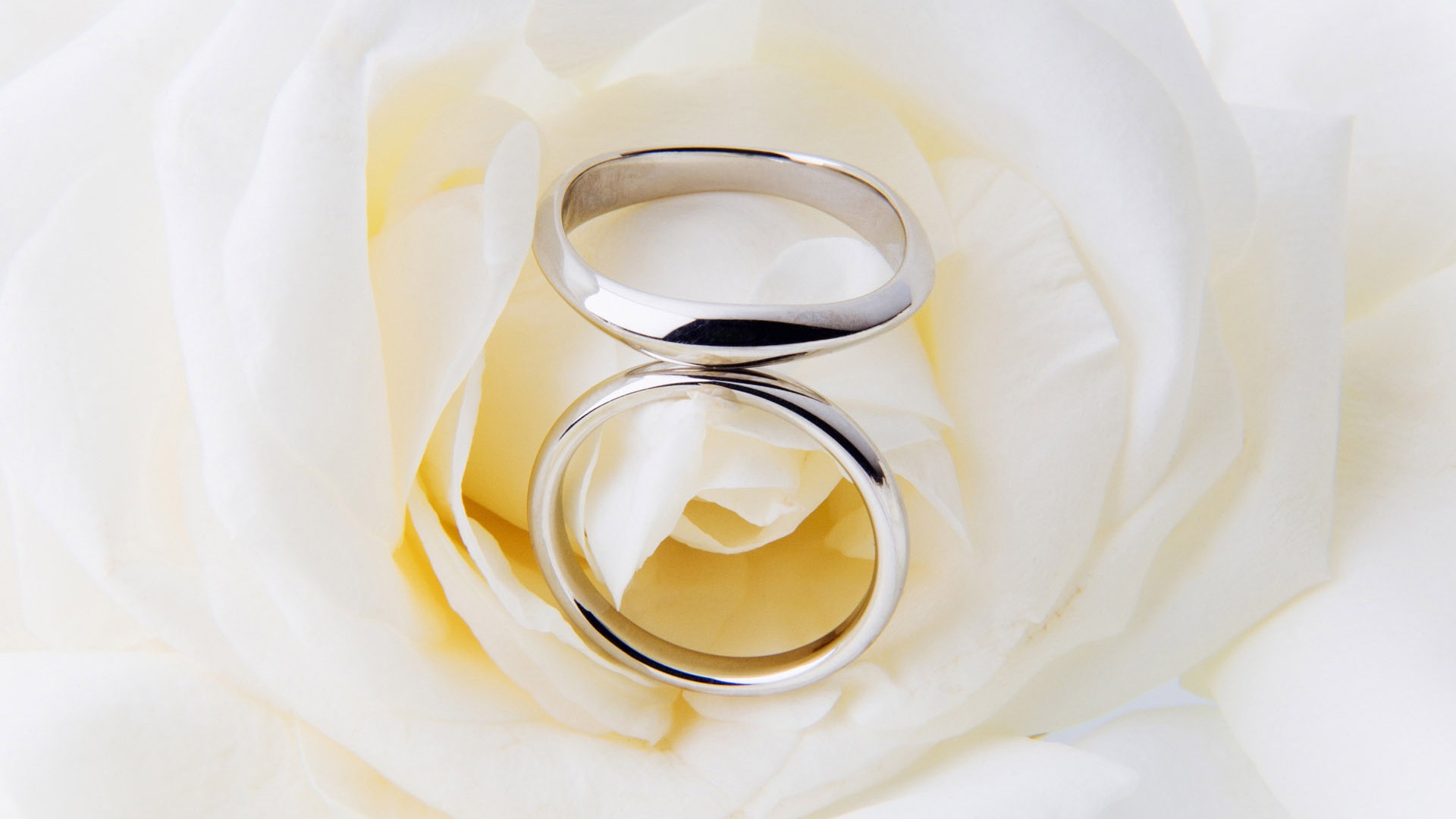 Свадьбы и свадебные кольца обои (2) #18 - 1920x1080