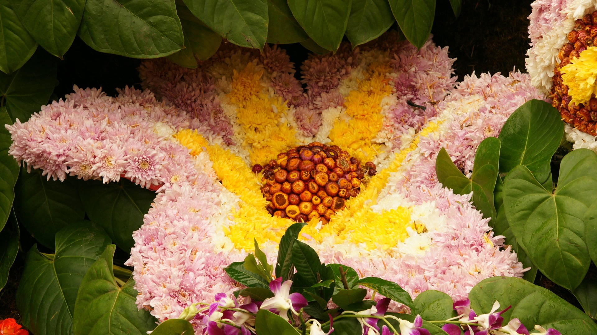 fleurs colorées décorent fond d'écran (2) #3 - 1920x1080