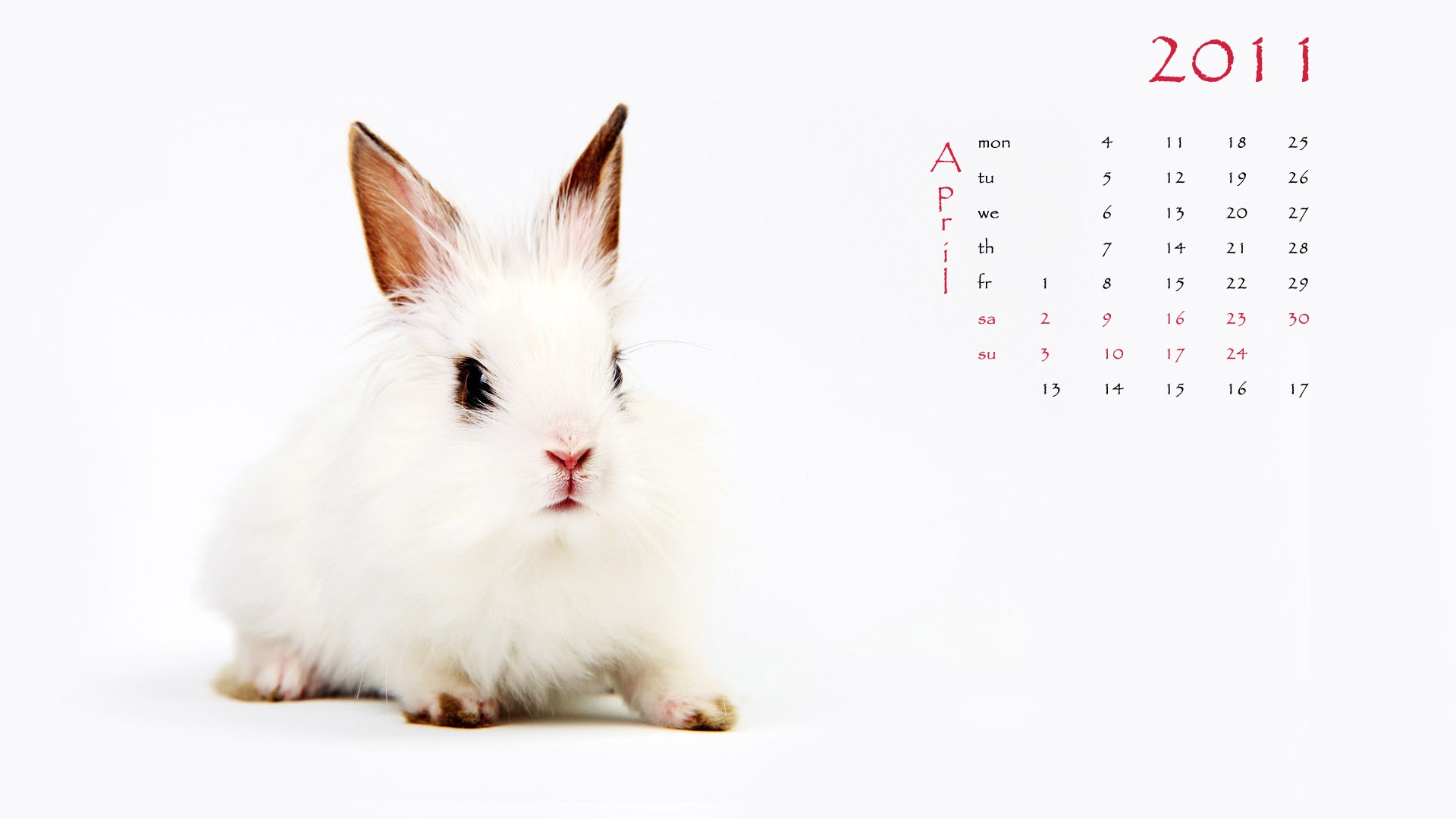 Year of the Rabbit 2011 calendar wallpaper (1) #4 - 1920x1080