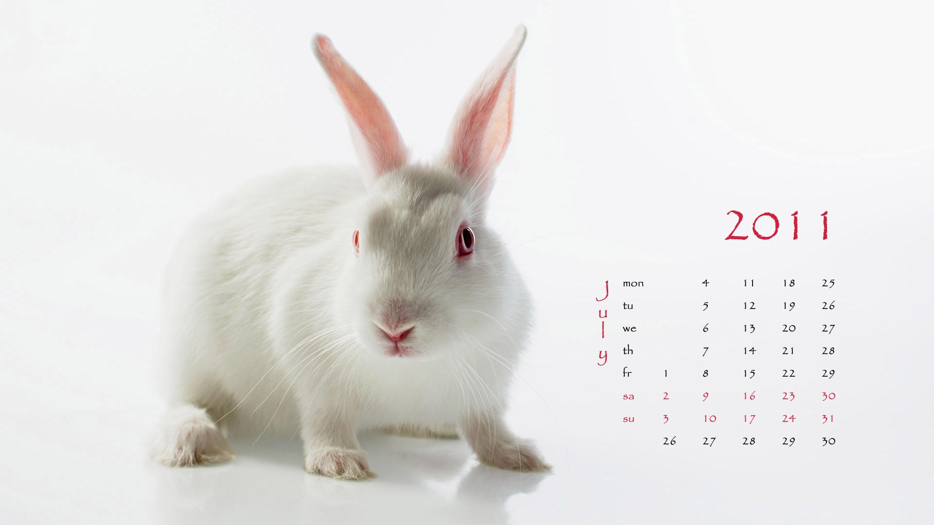 Año del Conejo fondos de escritorio calendario 2011 (1) #7 - 1920x1080