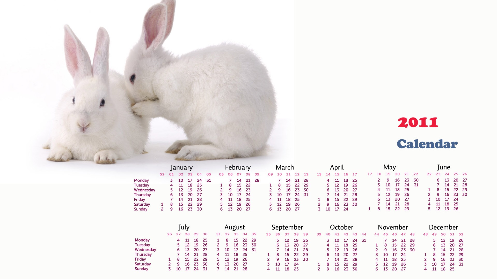 Год Кролика 2011 календарь обои (1) #17 - 1920x1080