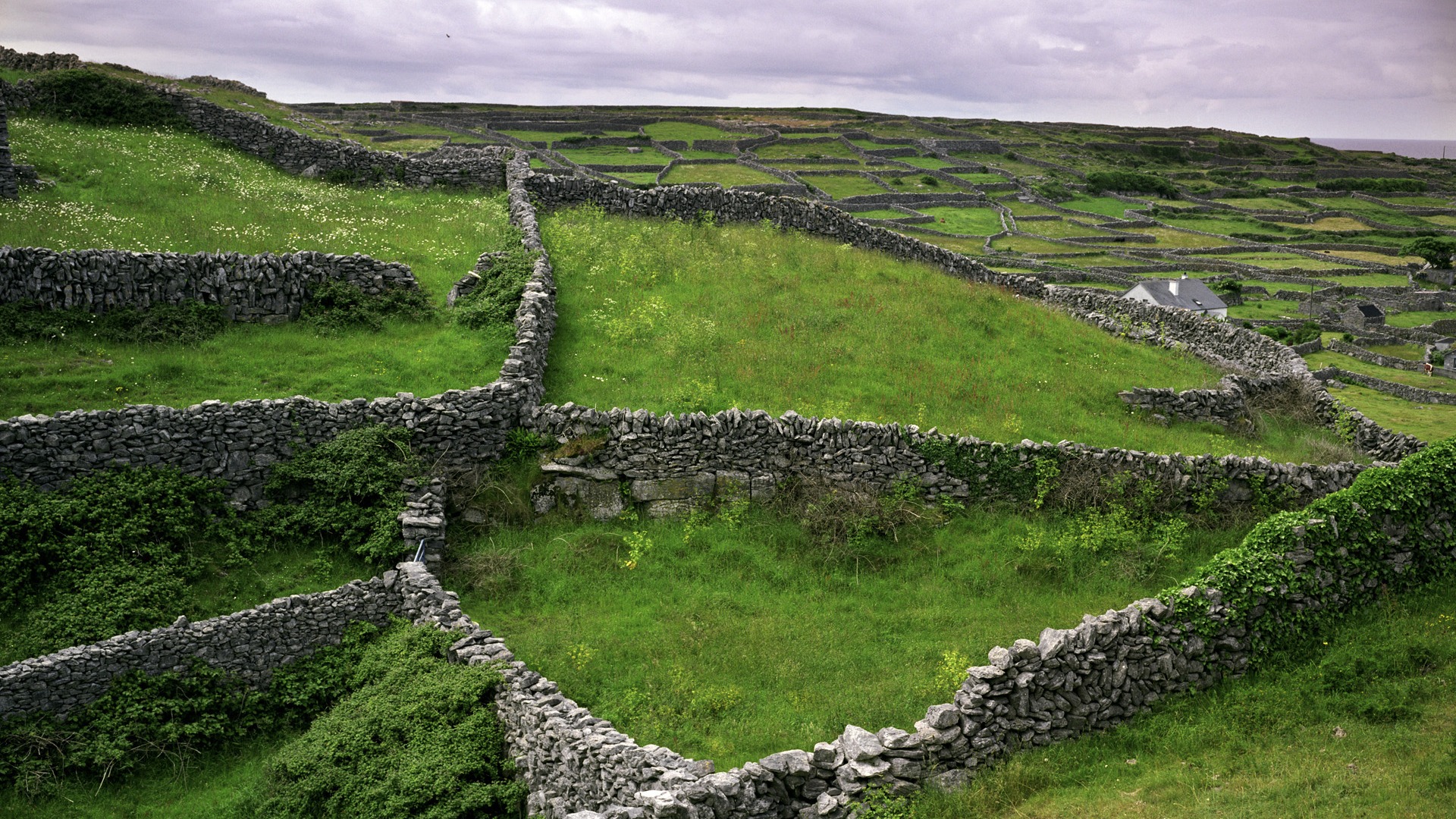 Beautiful scenery of Ireland wallpaper #2 - 1920x1080