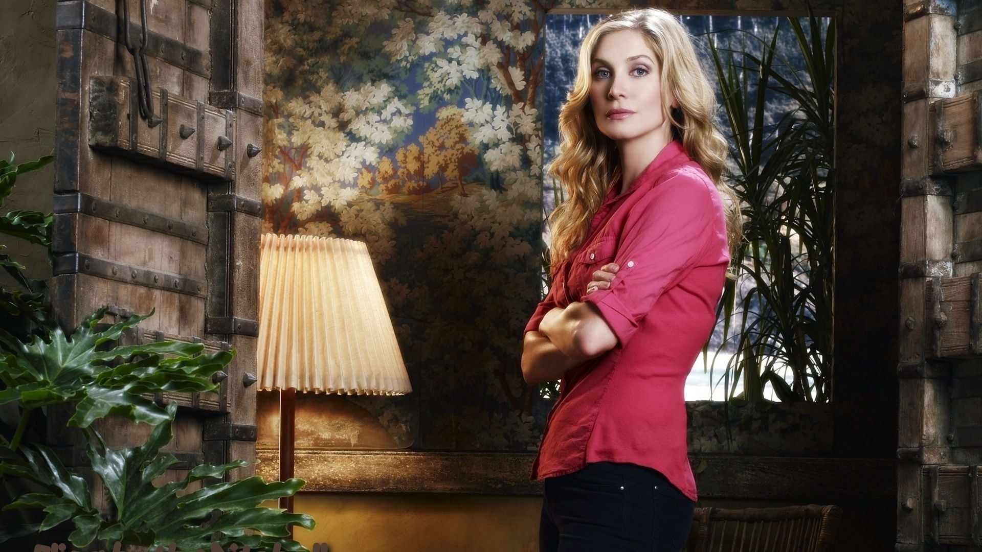 Elizabeth Mitchell krásnou tapetu #9 - 1920x1080