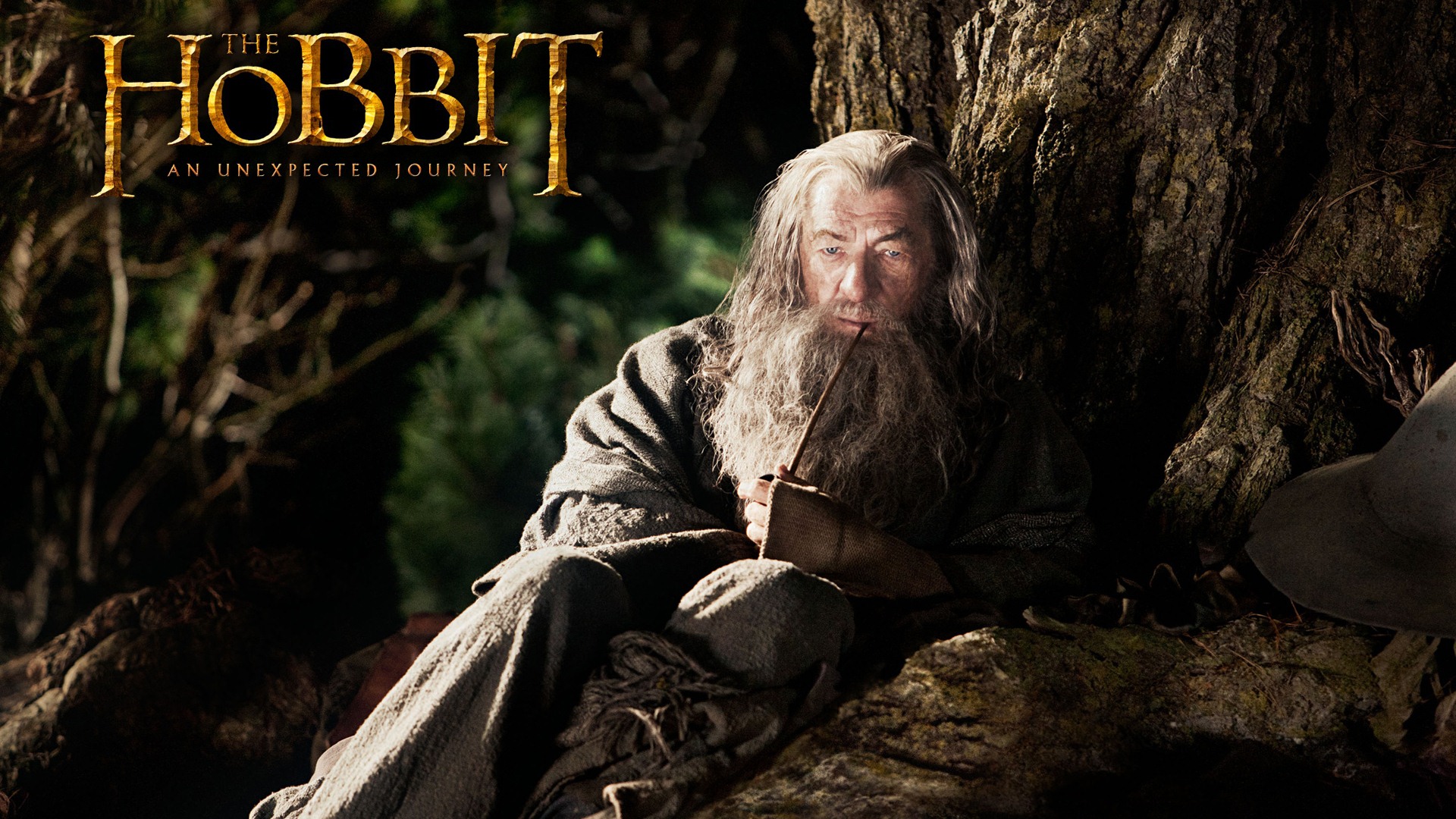 El Hobbit: Un viaje inesperado fondos de pantalla HD #10 - 1920x1080