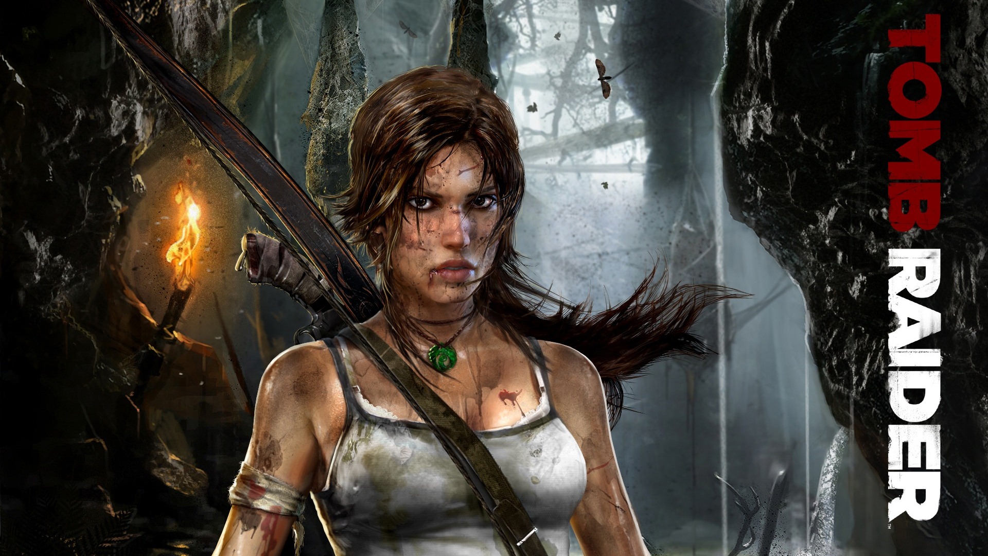 Tomb Raider 9 fonds d'écran HD #1 - 1920x1080