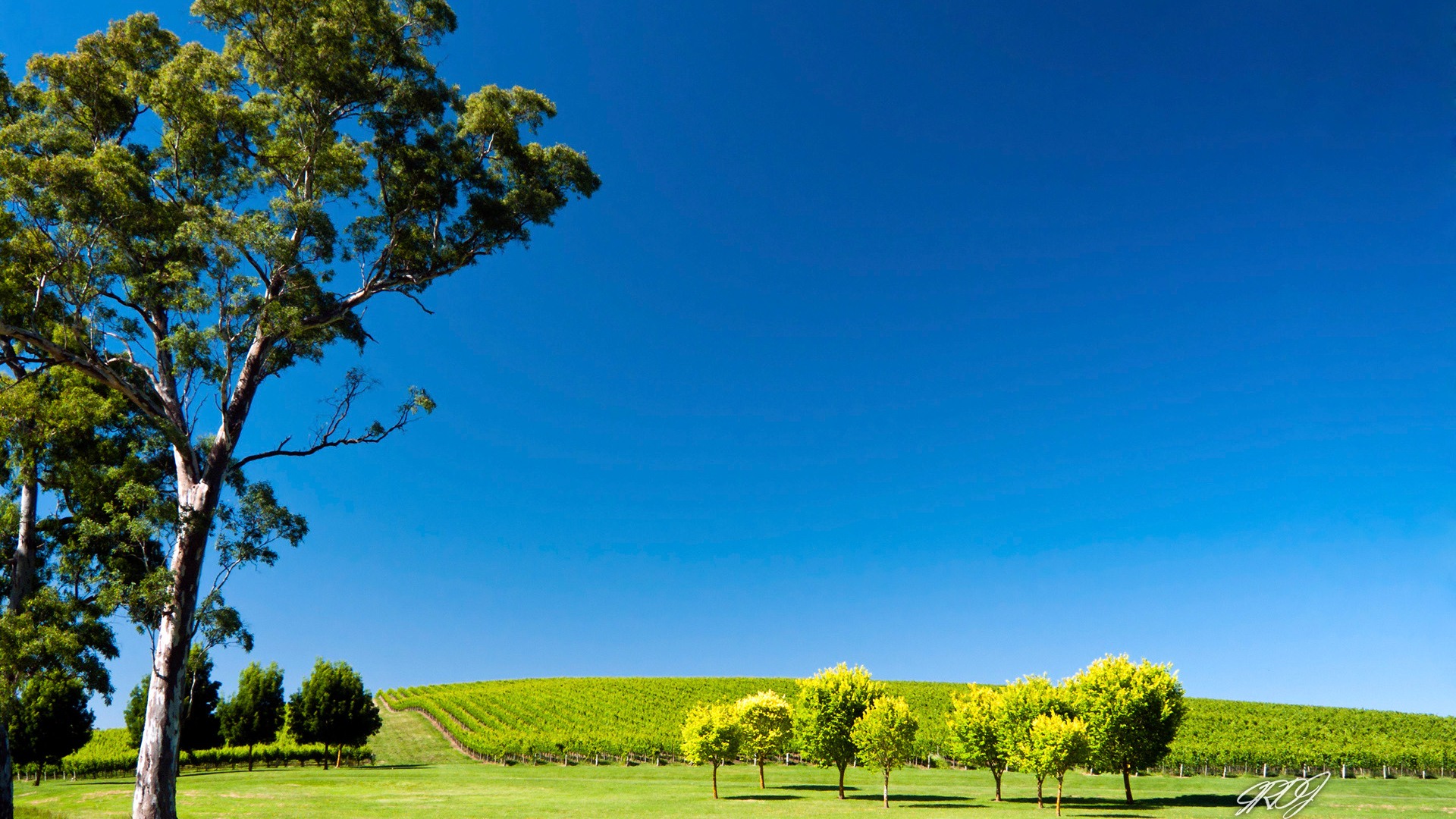 호주의 HD 월페이퍼의 아름다운 풍경 #8 - 1920x1080