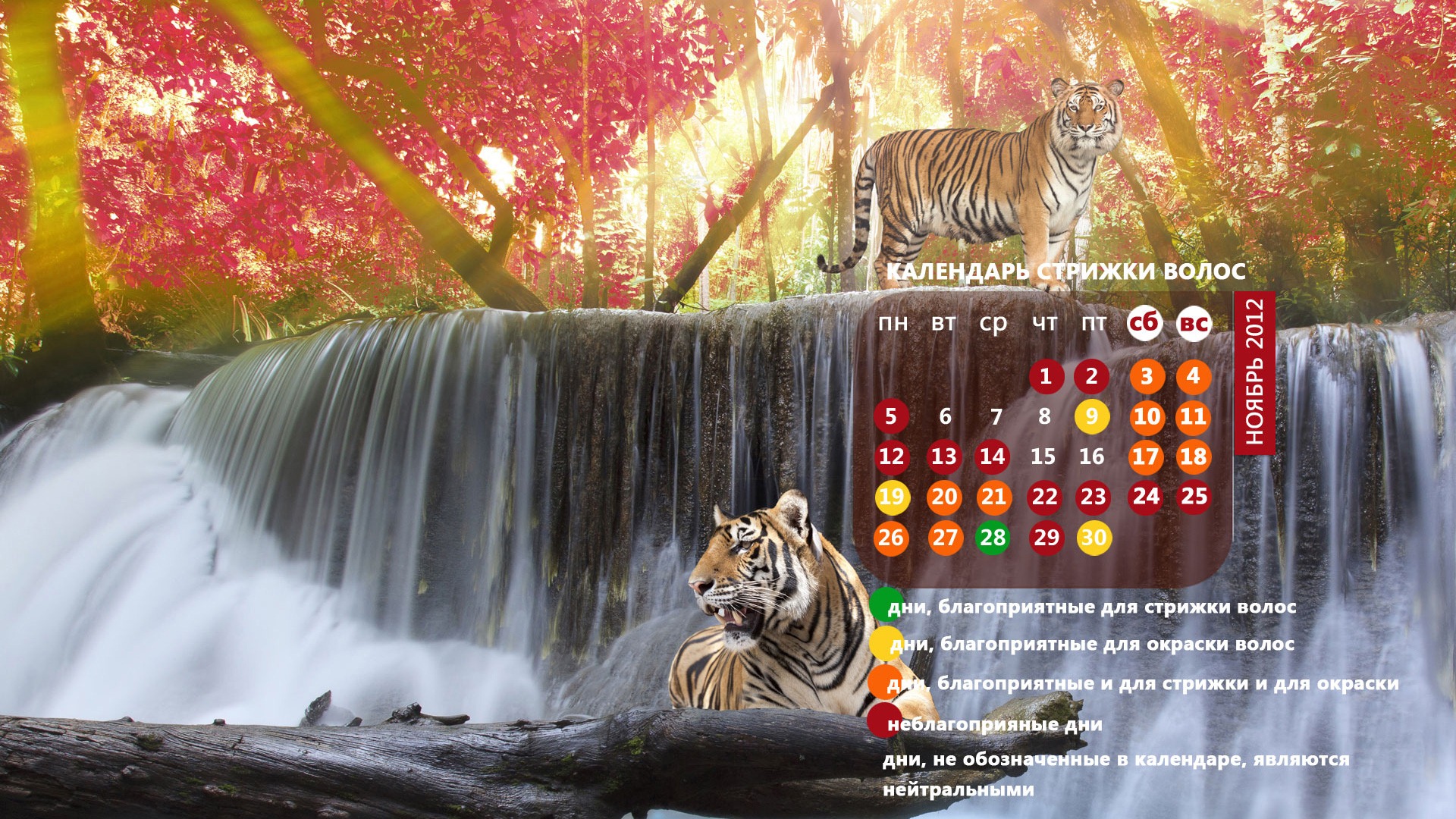 Novembre 2012 Calendar Wallpaper (2) #18 - 1920x1080