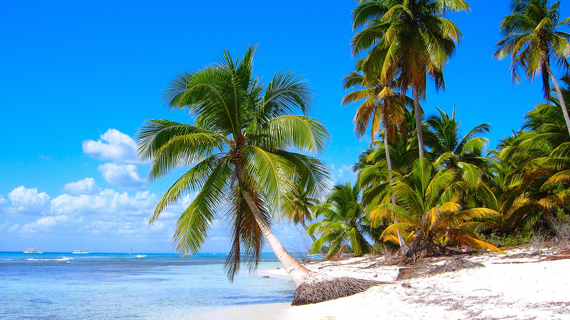 Windows 8: Fonds d'écran Shores Caraïbes #2 - 1920x1080