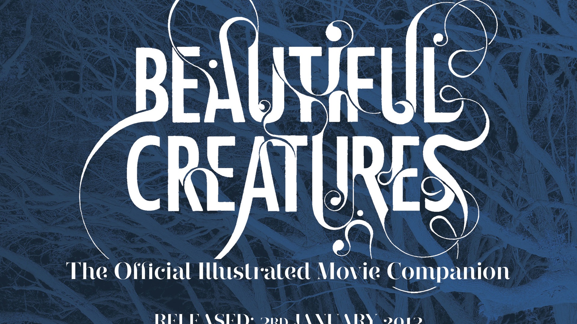 Beautiful Creatures 2013 обои HD фильмов #4 - 1920x1080
