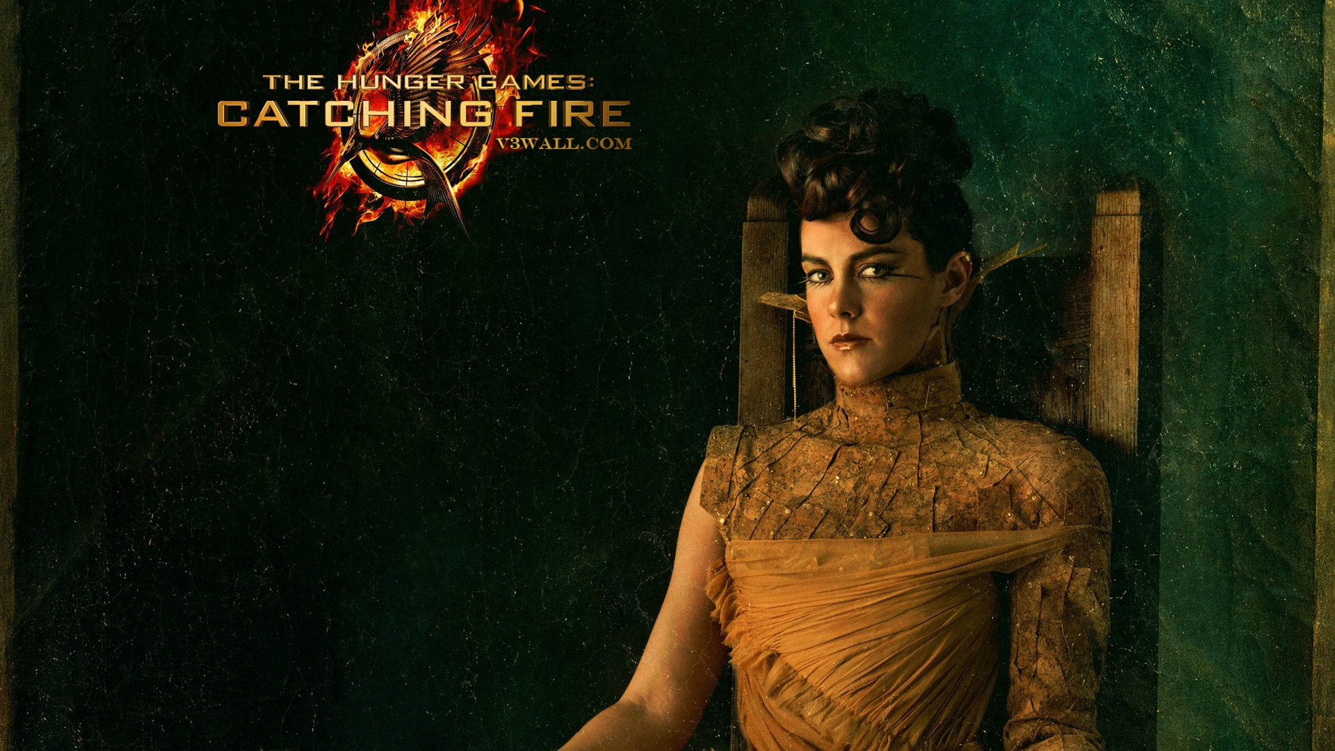 The Hunger Games: Catching Fire wallpapers HD #16 - 1920x1080