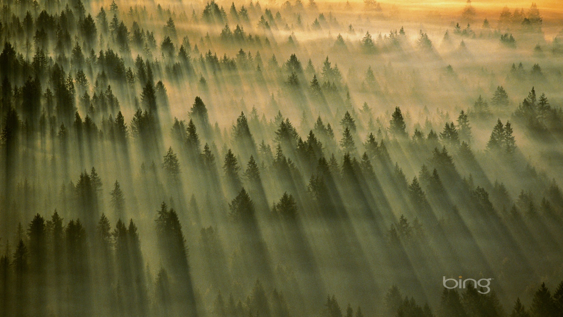 2013 Bing official theme HD wallpapers #26 - 1920x1080