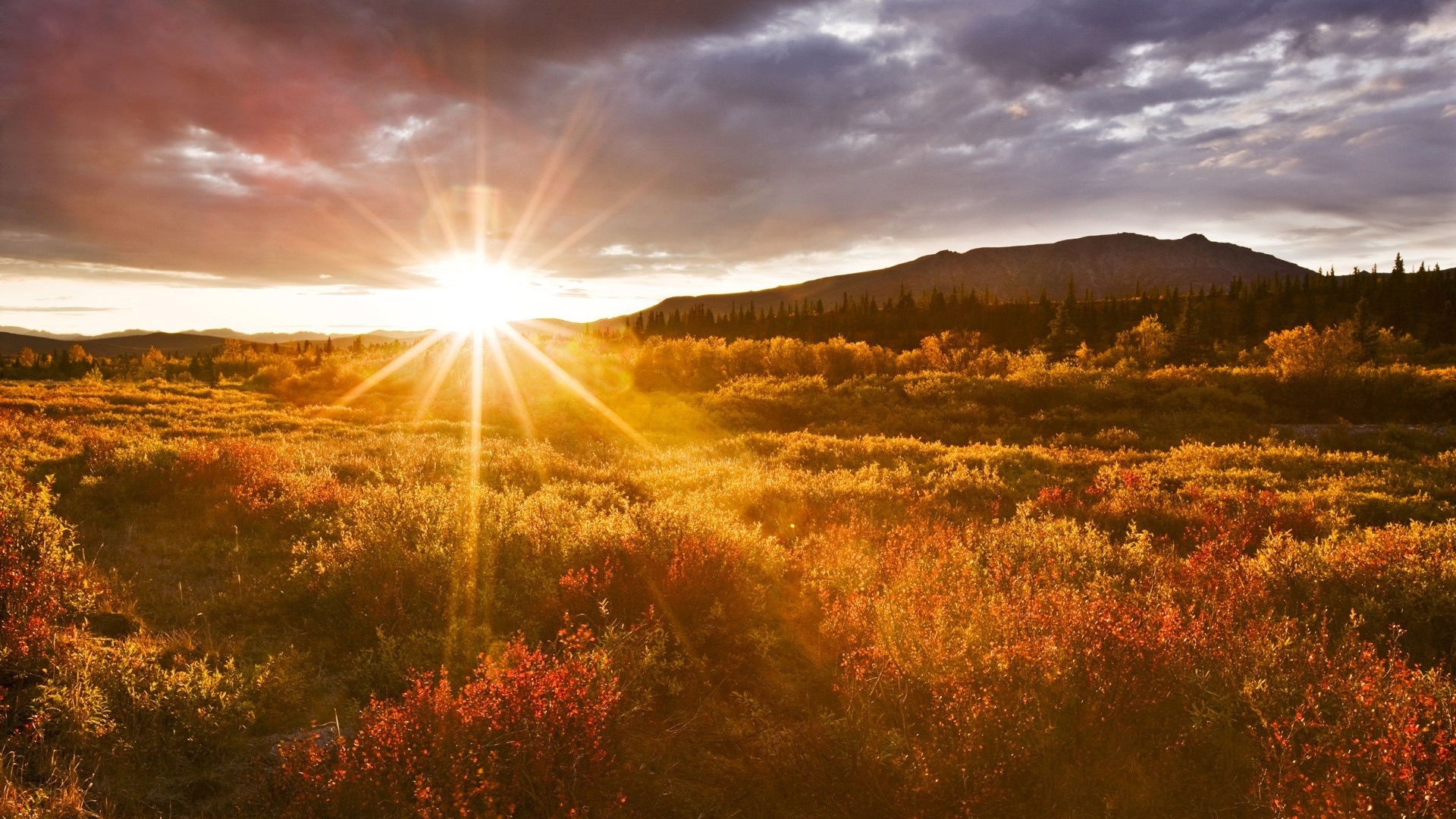 Denali National Park HD landscape wallpapers #3 - 1920x1080