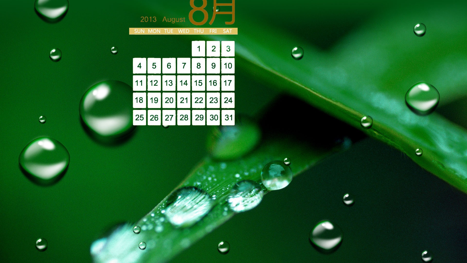 08 2013 calendario fondo de pantalla (1) #14 - 1920x1080