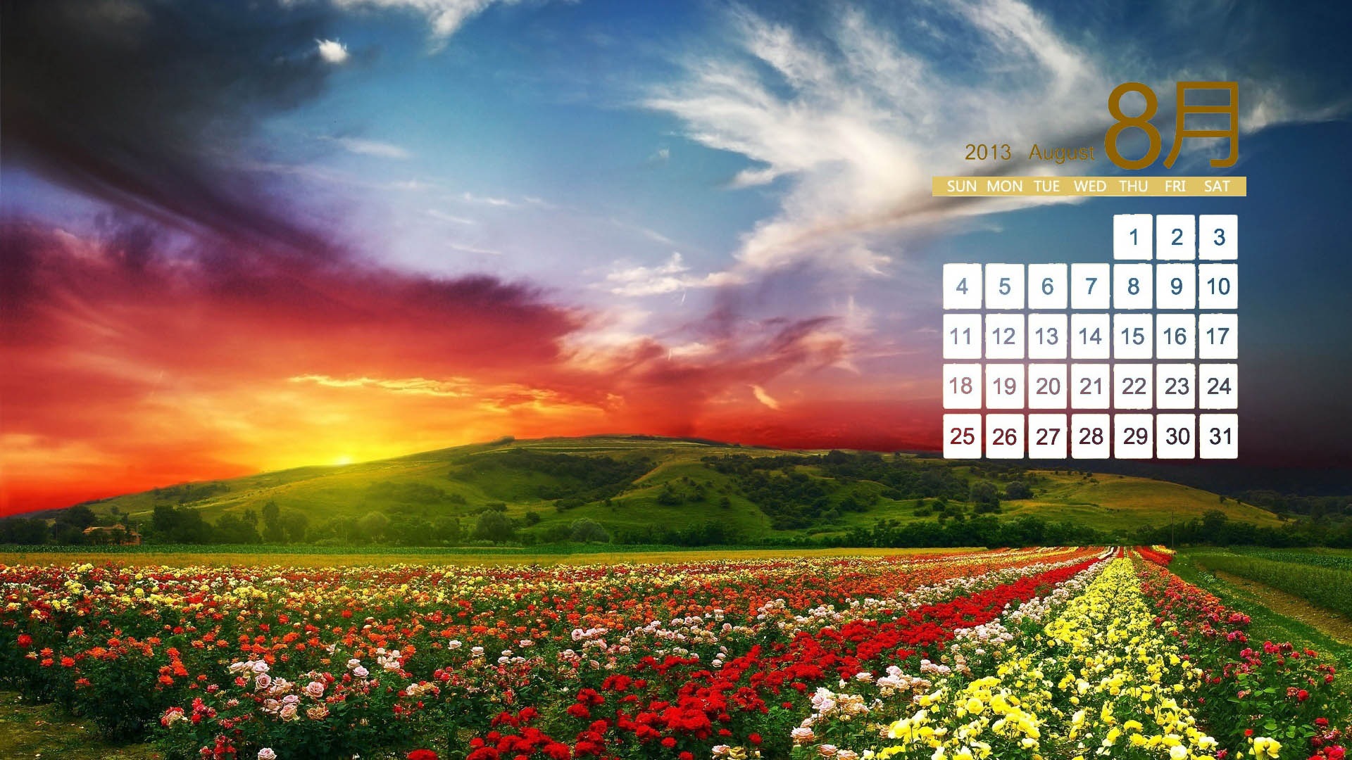 August 2013 calendar wallpaper (2) #18 - 1920x1080