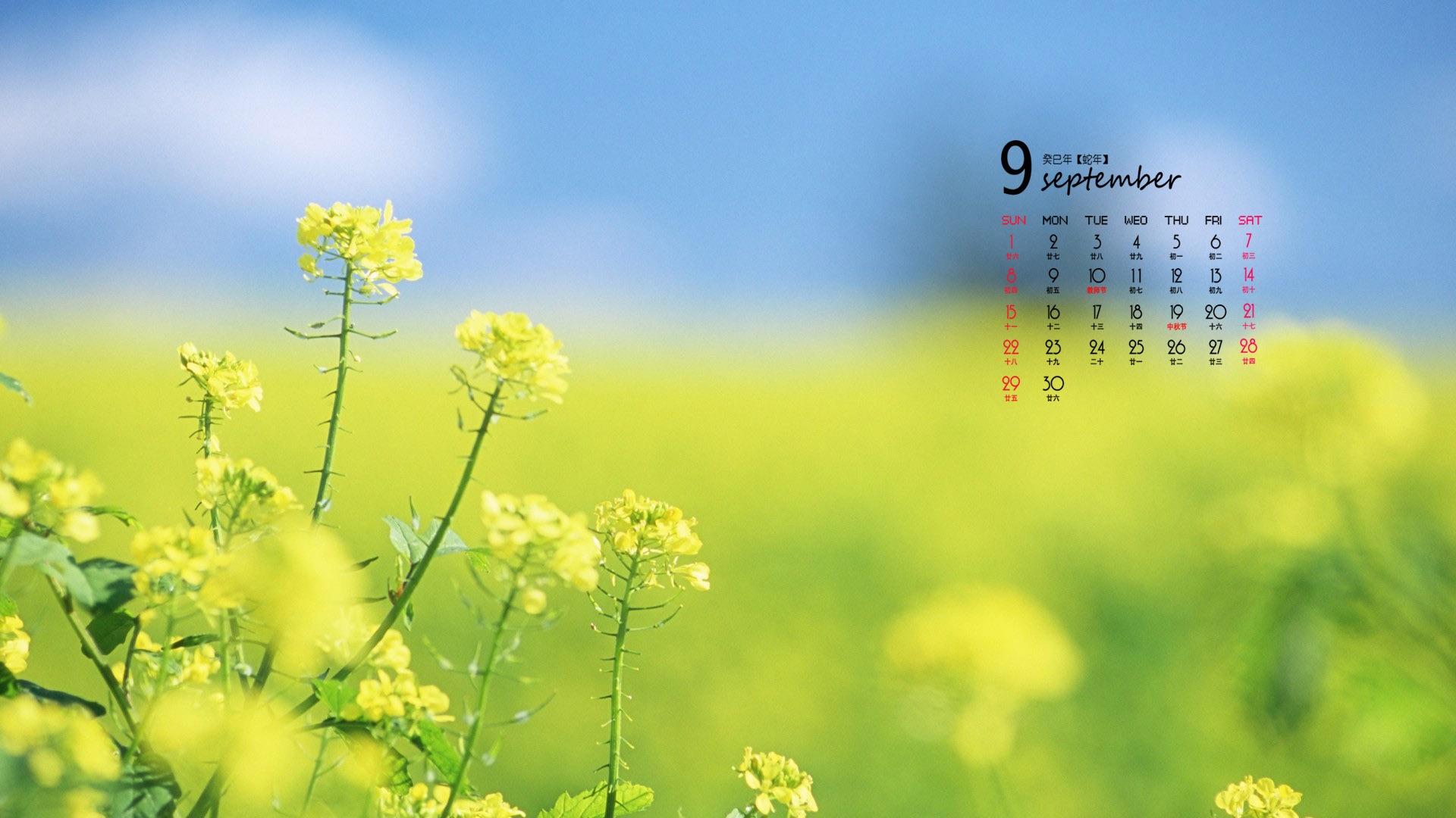 09 2013 Calendar fondo de pantalla (1) #4 - 1920x1080