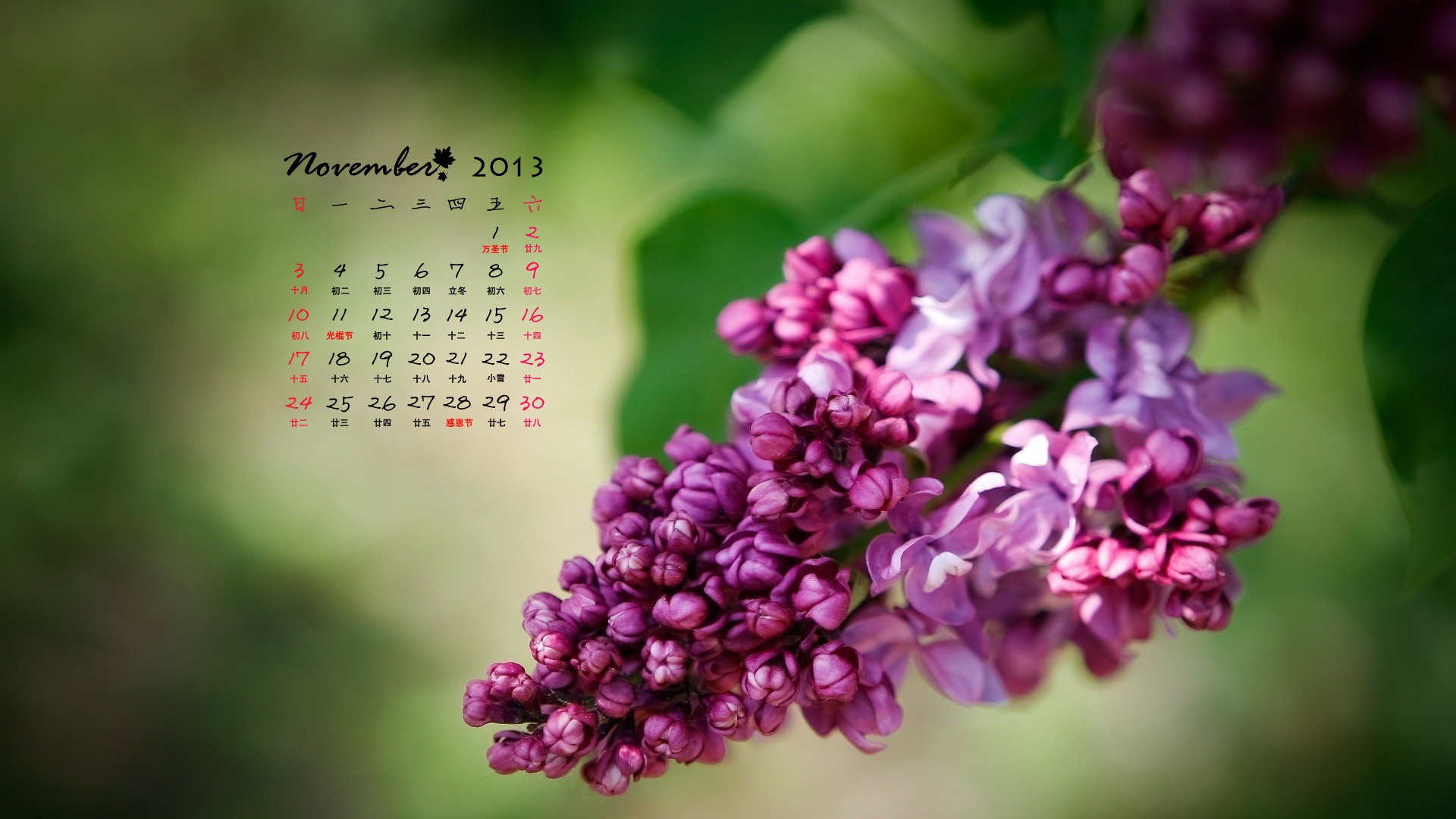 November 2013 Calendar wallpaper (1) #18 - 1920x1080