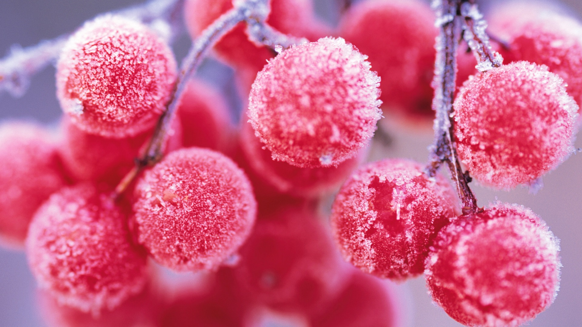 겨울 딸기, 서리 눈의 HD 배경 화면 #1 - 1920x1080