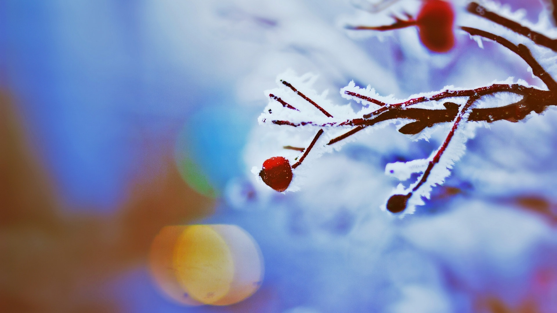 겨울 딸기, 서리 눈의 HD 배경 화면 #11 - 1920x1080
