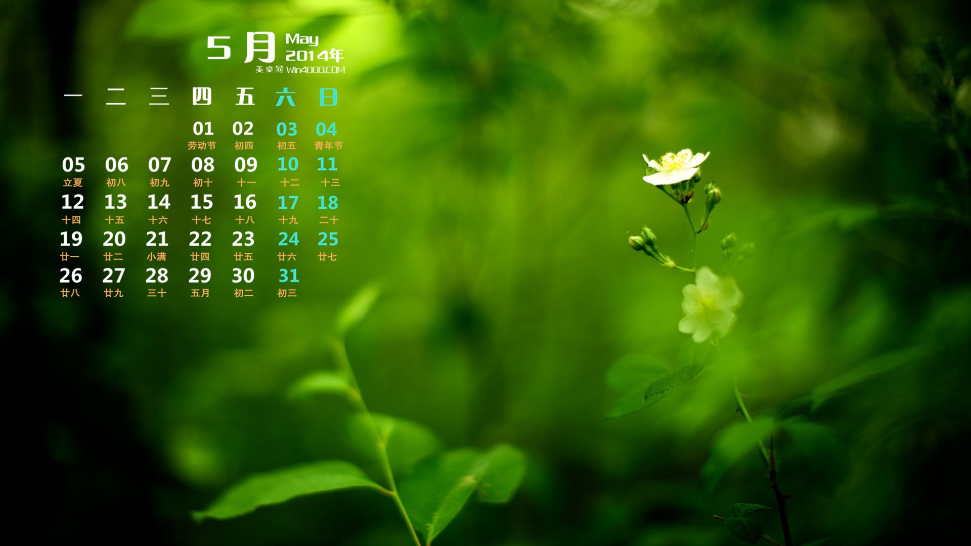 2014年5月 月曆壁紙(一) #4 - 1920x1080