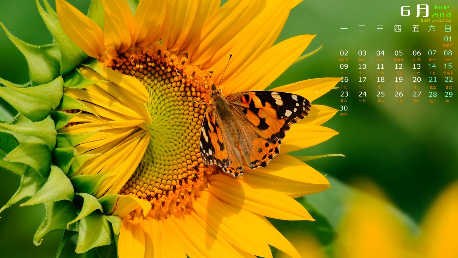 June 2014 calendar wallpaper (1) #6 - 1920x1080