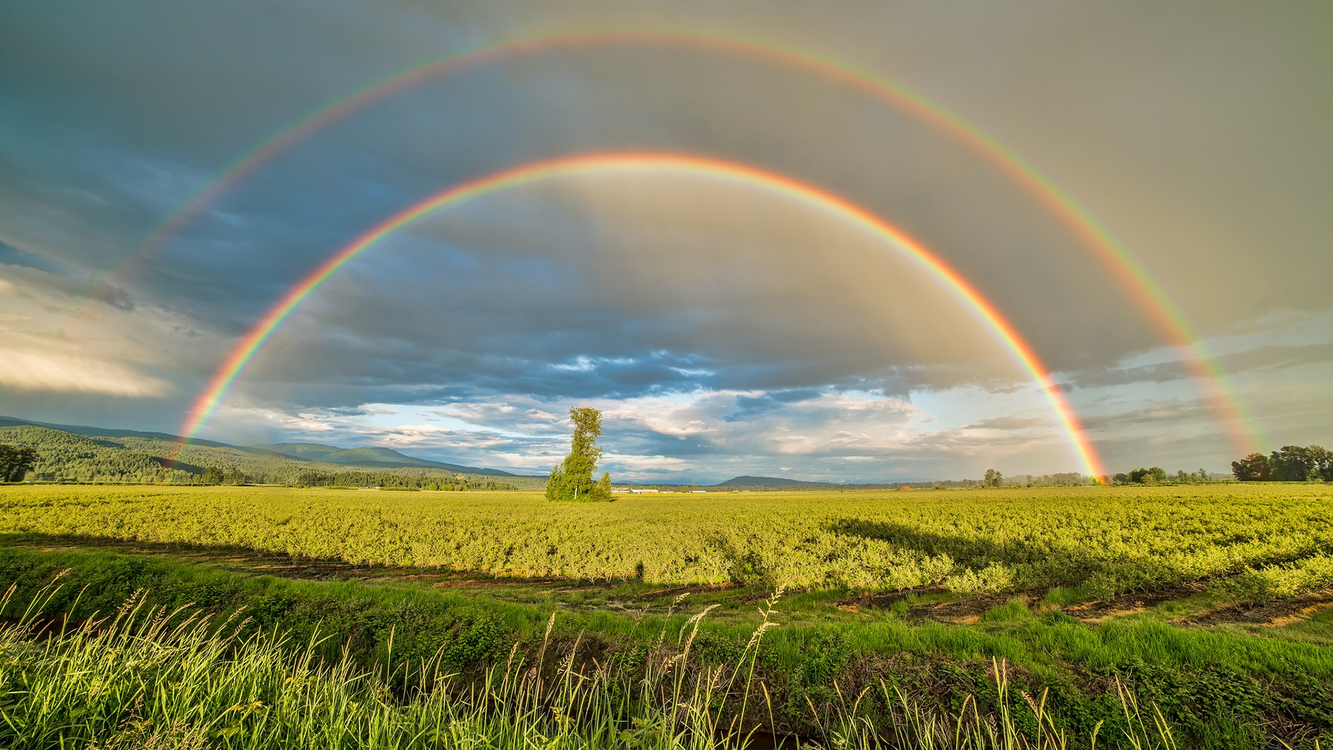 Beautiful rainbow scenery HD wallpapers #1 - 1920x1080