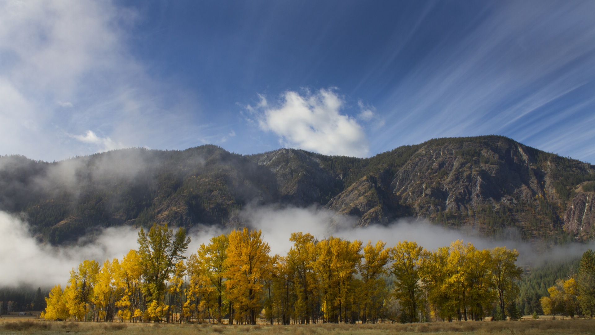 Foggy podzimní listí a stromy HD Tapety na plochu #9 - 1920x1080
