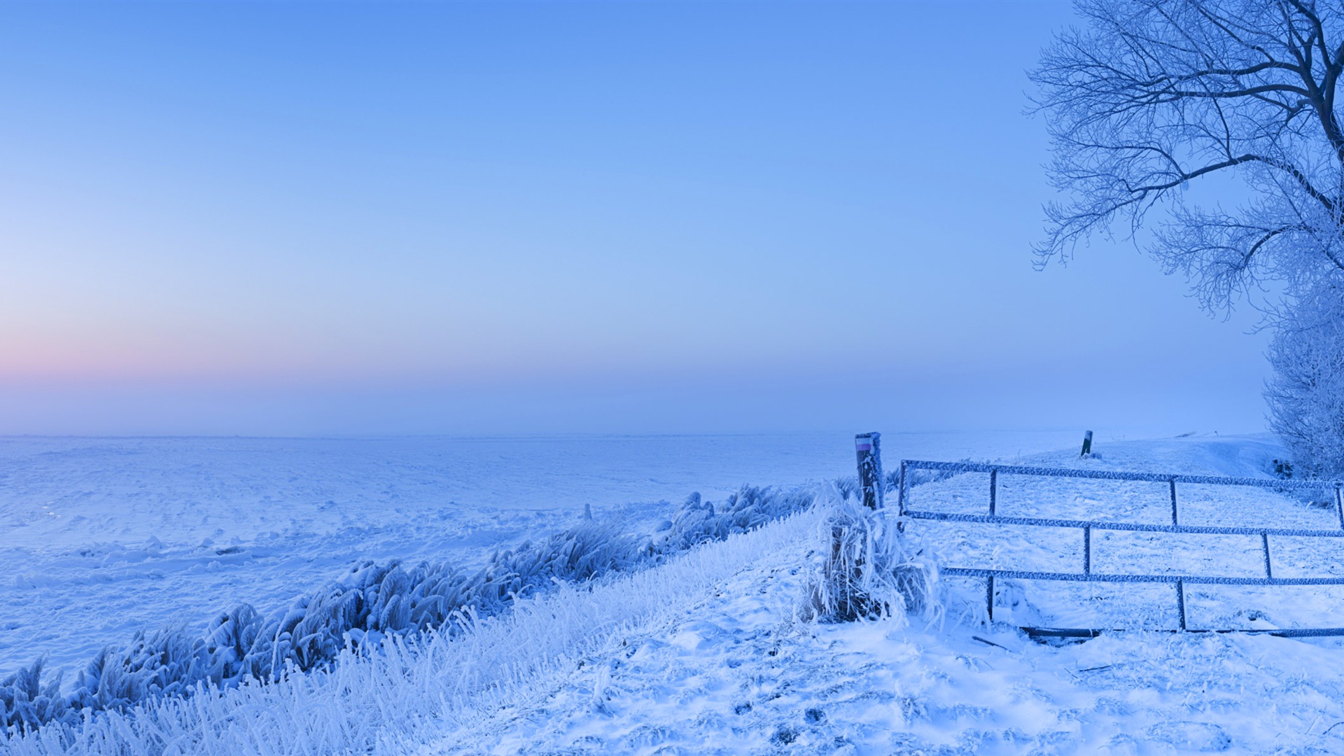 Красивая холодная зима снег, Windows 8 панорамные картинки на рабочий стол #2 - 1920x1080