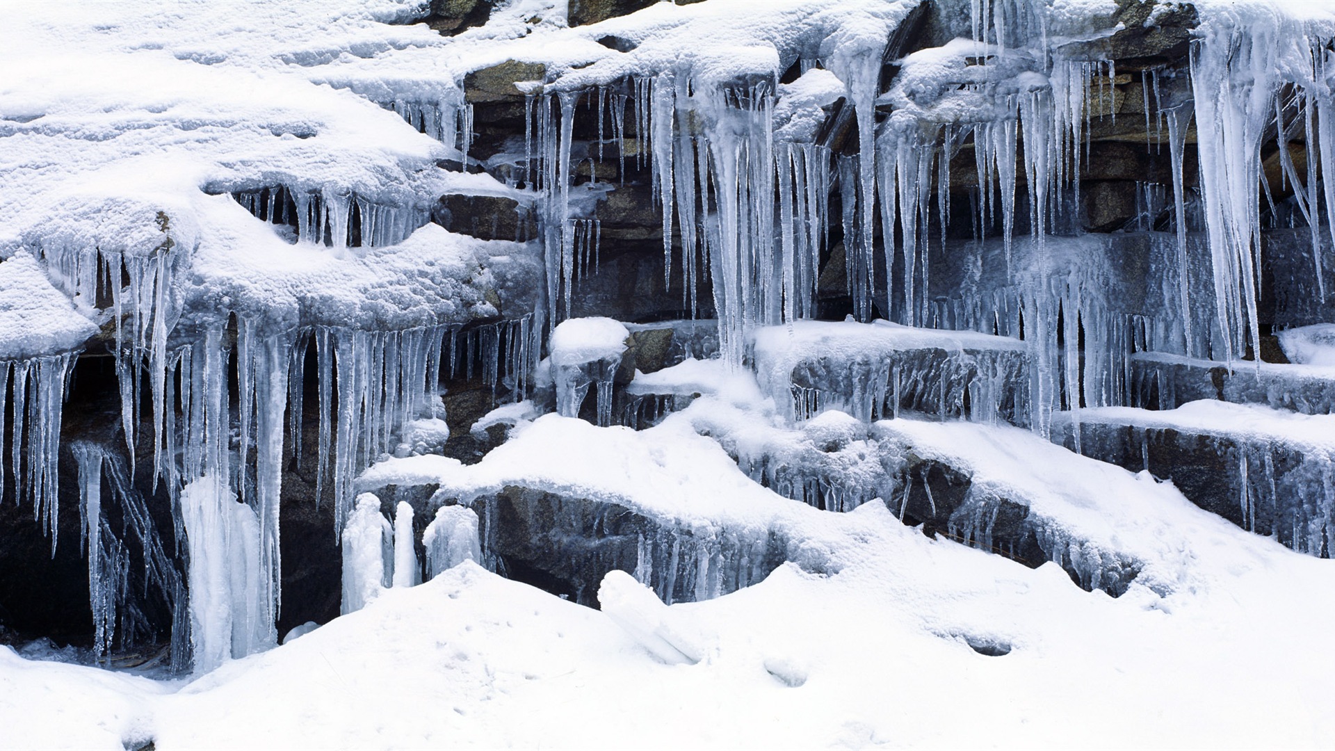 寒冷冬天美丽的雪景，Windows 8 全景宽屏壁纸7 - 1920x1080