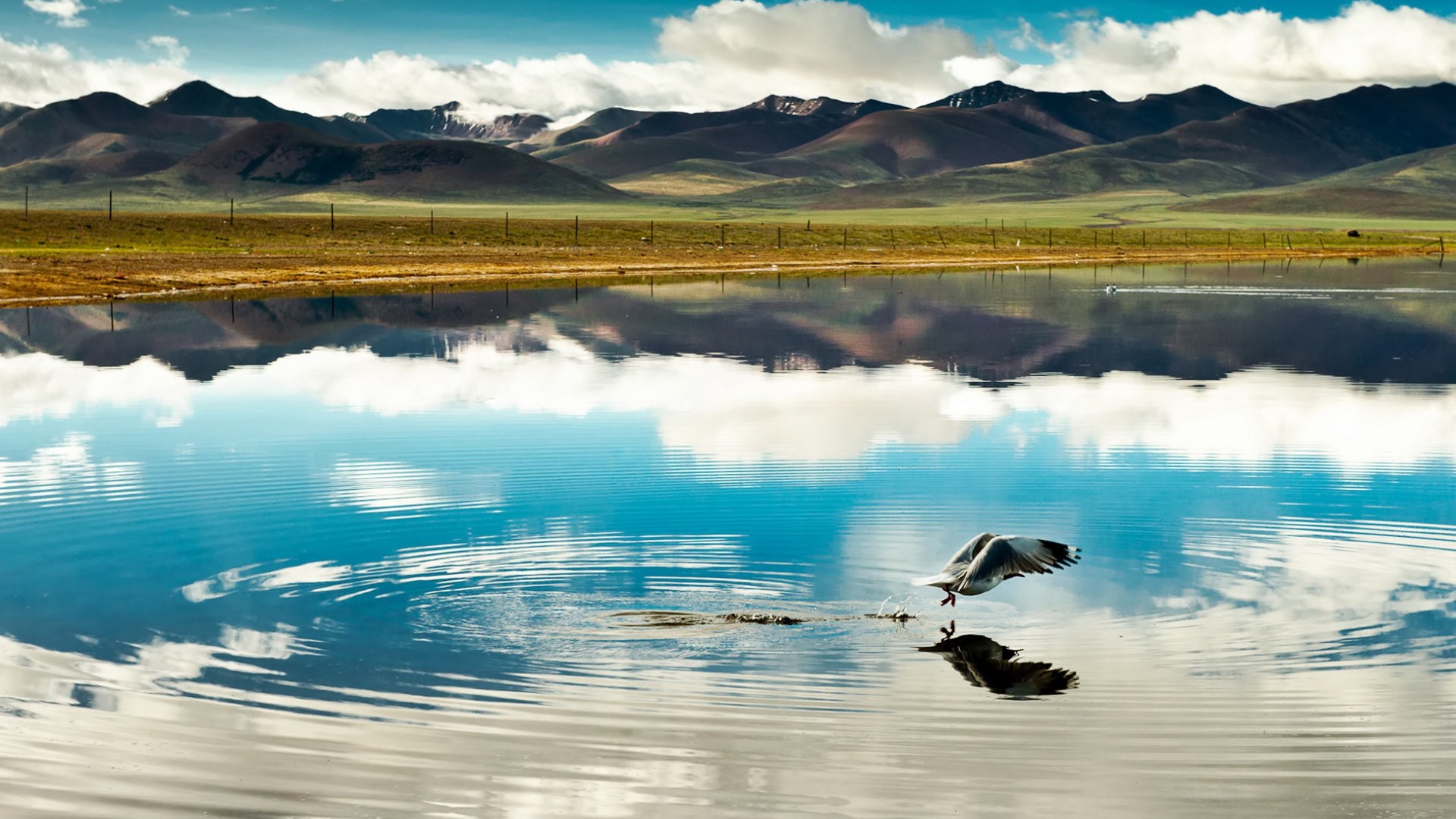 Qinghai Plateau krásné scenérie tapety #2 - 1920x1080