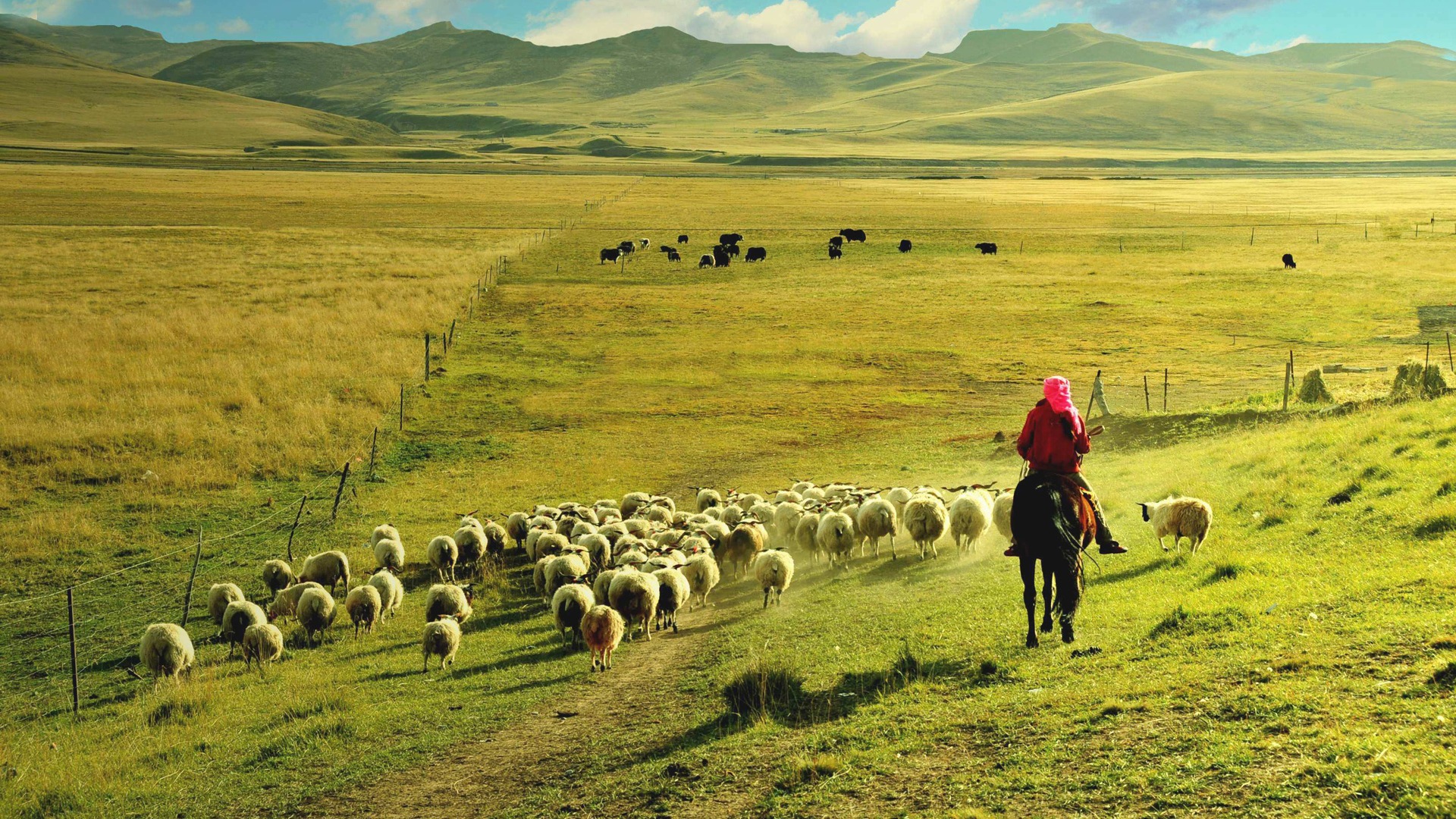 Qinghai Plateau beautiful scenery wallpaper #7 - 1920x1080