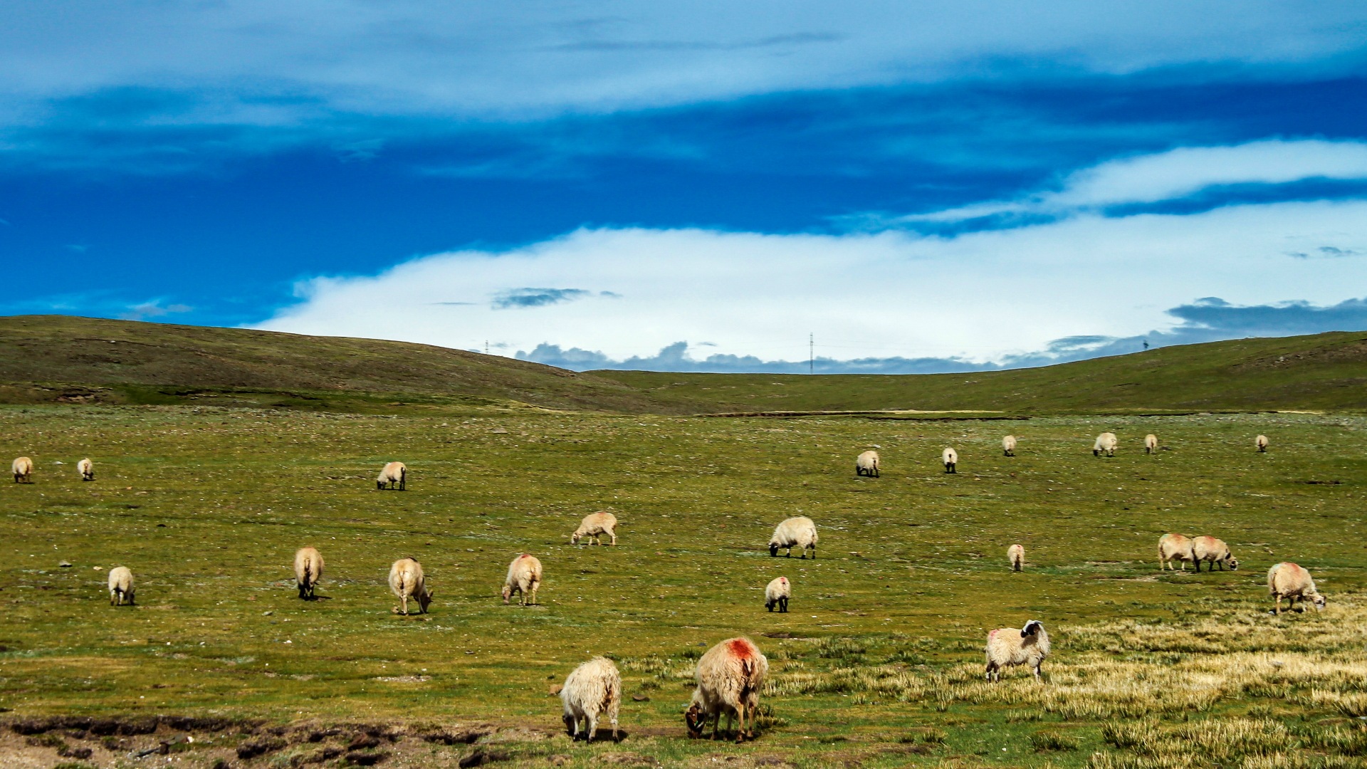 Qinghai-Plateau schöne Landschaft Tapeten #17 - 1920x1080