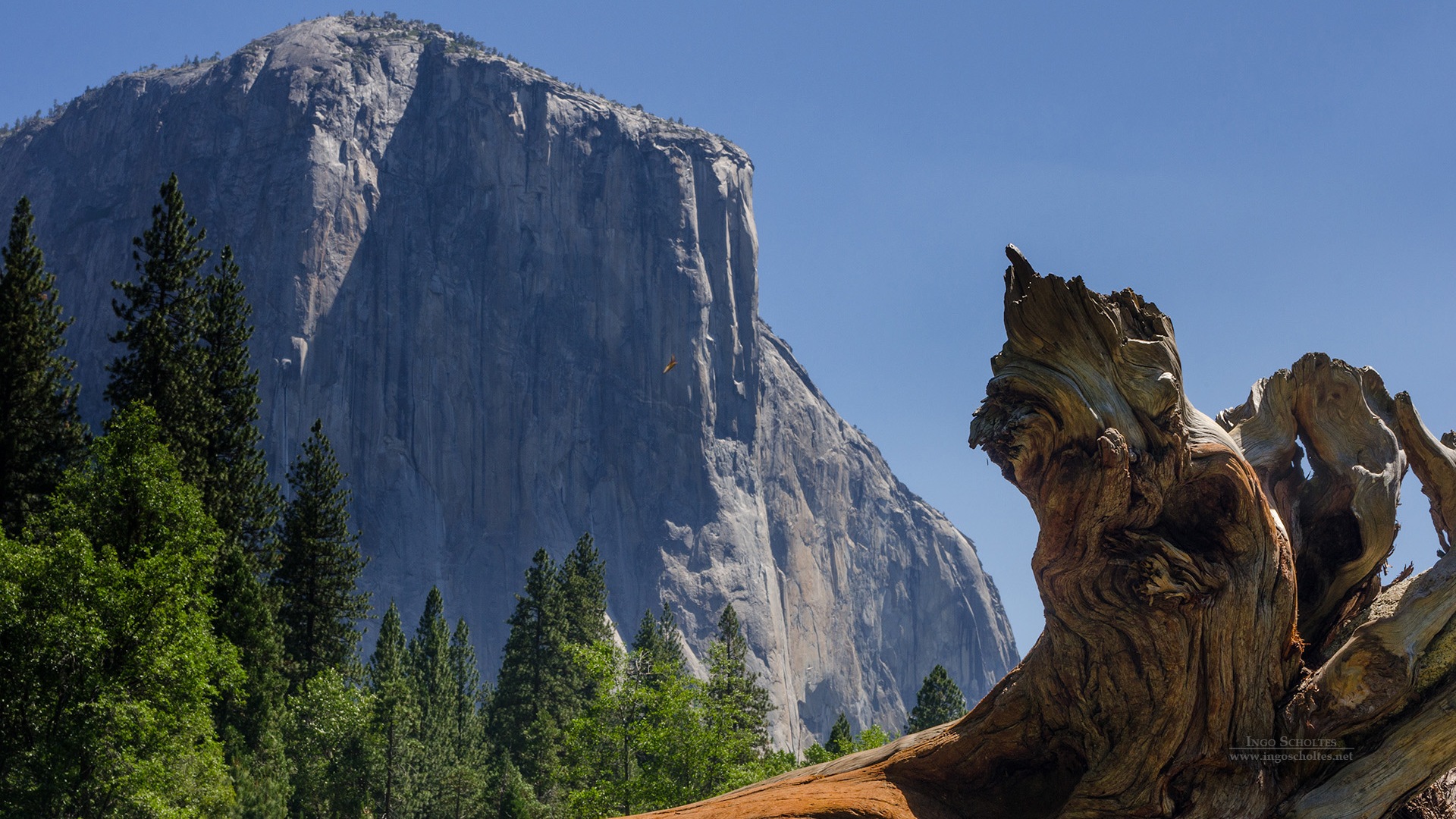 Windows 8 thème, Parc national de Yosemite fonds d'écran HD #10 - 1920x1080