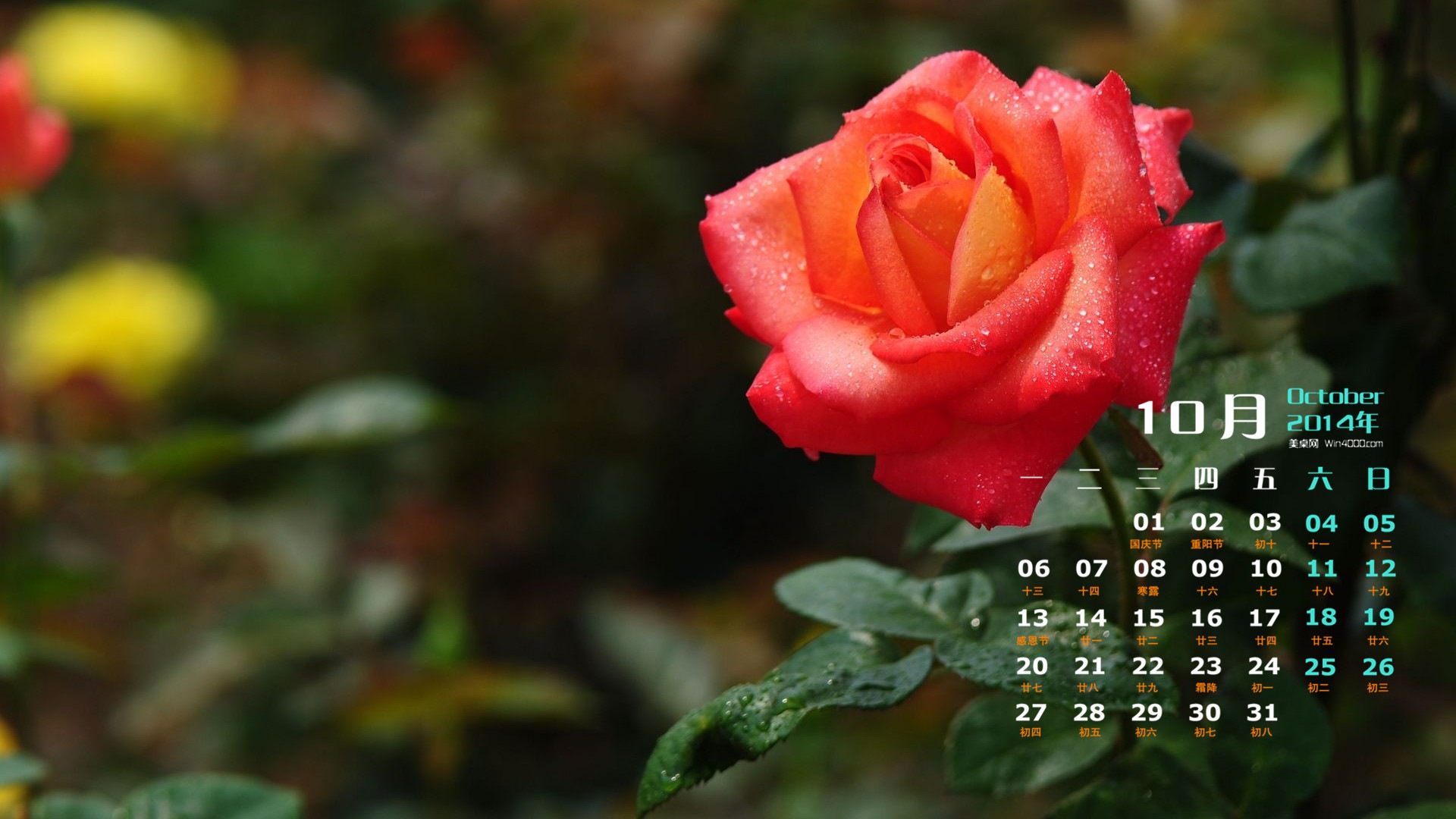Октябрь 2014 Календарь обои (1) #12 - 1920x1080