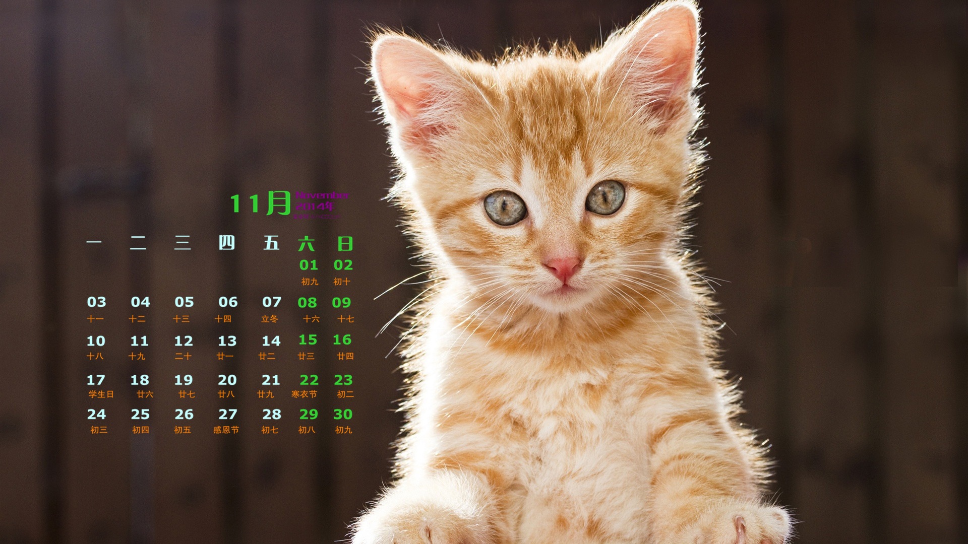 November 2014 Calendar wallpaper(1) #5 - 1920x1080