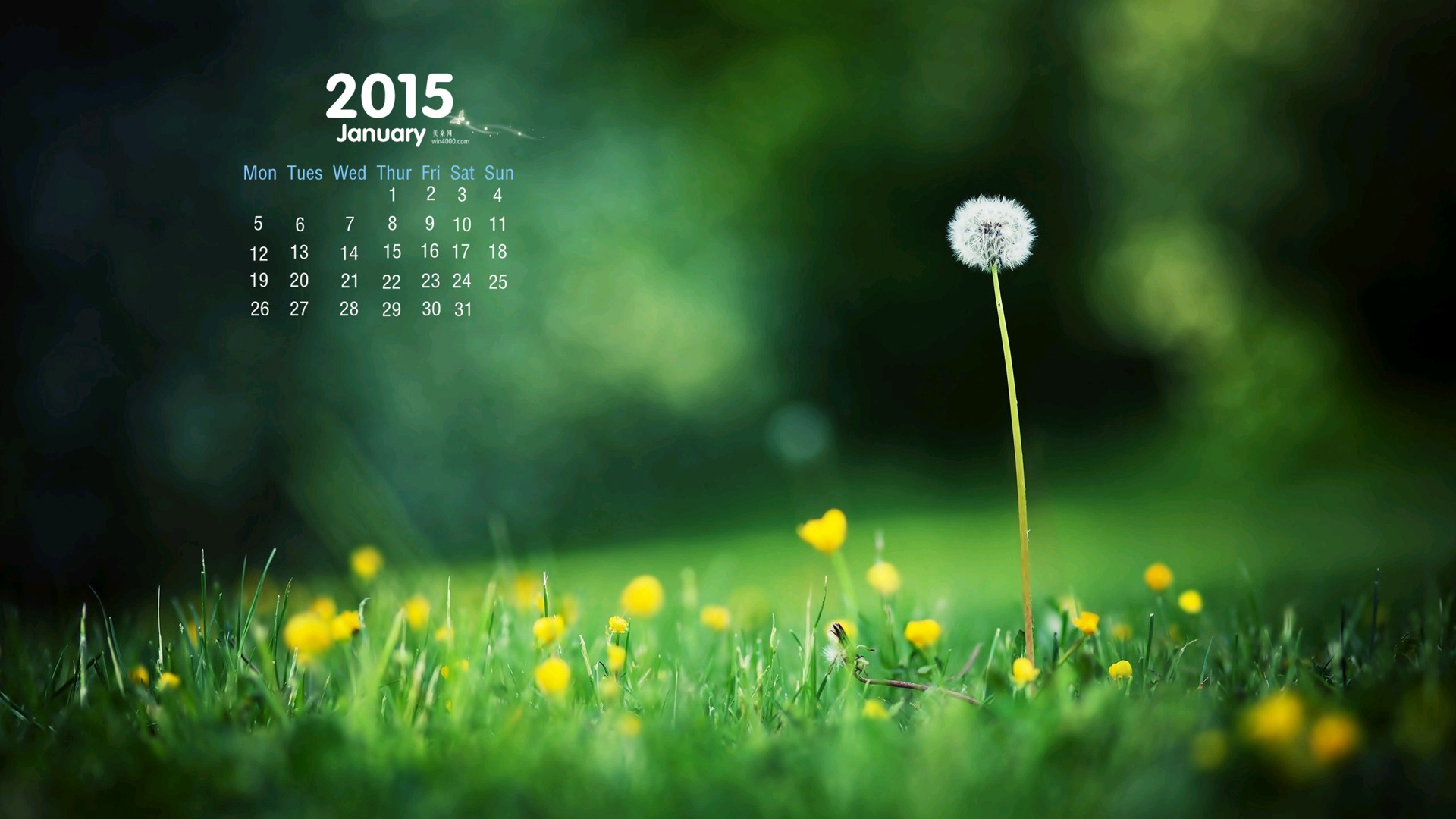Janvier 2015 calendar fond d'écran (1) #15 - 1920x1080