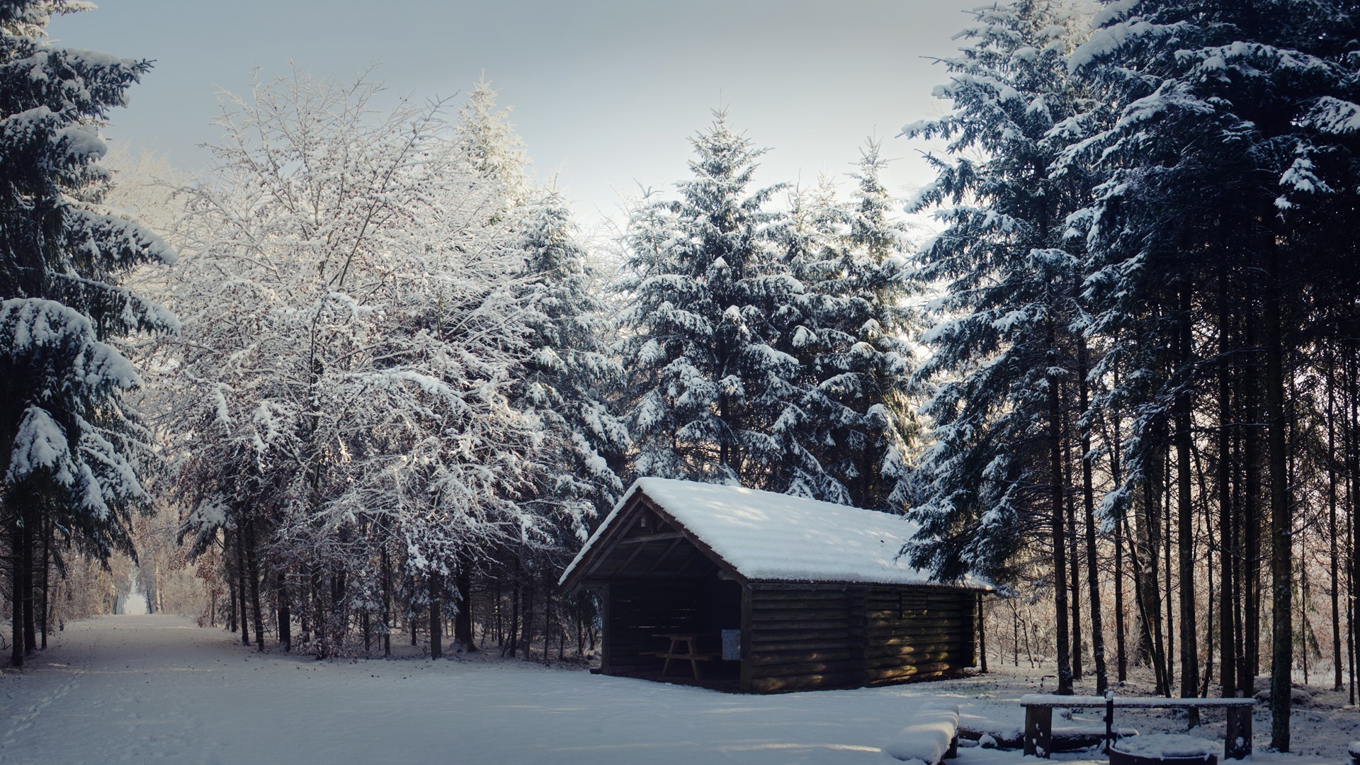 La nieve del invierno fondos de pantalla HD hermoso paisaje #12 - 1920x1080
