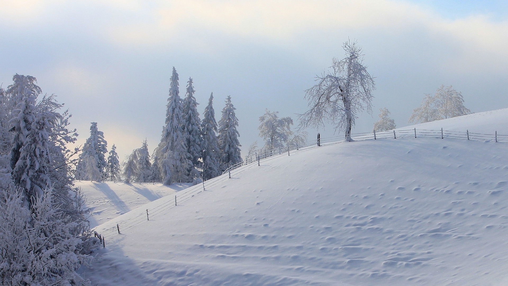 冬の雪の美しい風景のHDの壁紙 #16 - 1920x1080