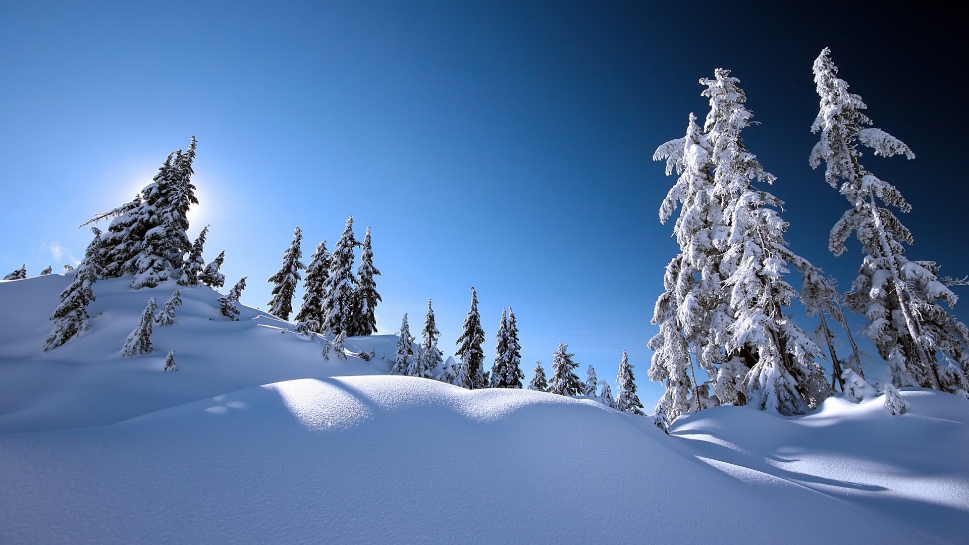 Zimní sníh Nádherná příroda HD tapety na plochu #19 - 1920x1080